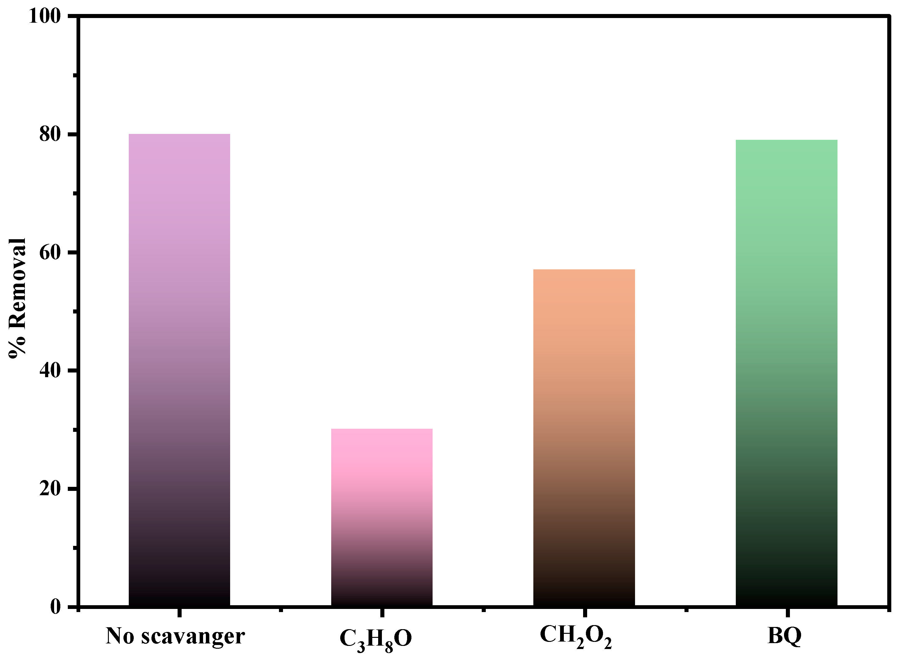 Nanomaterials 13 00713 g010