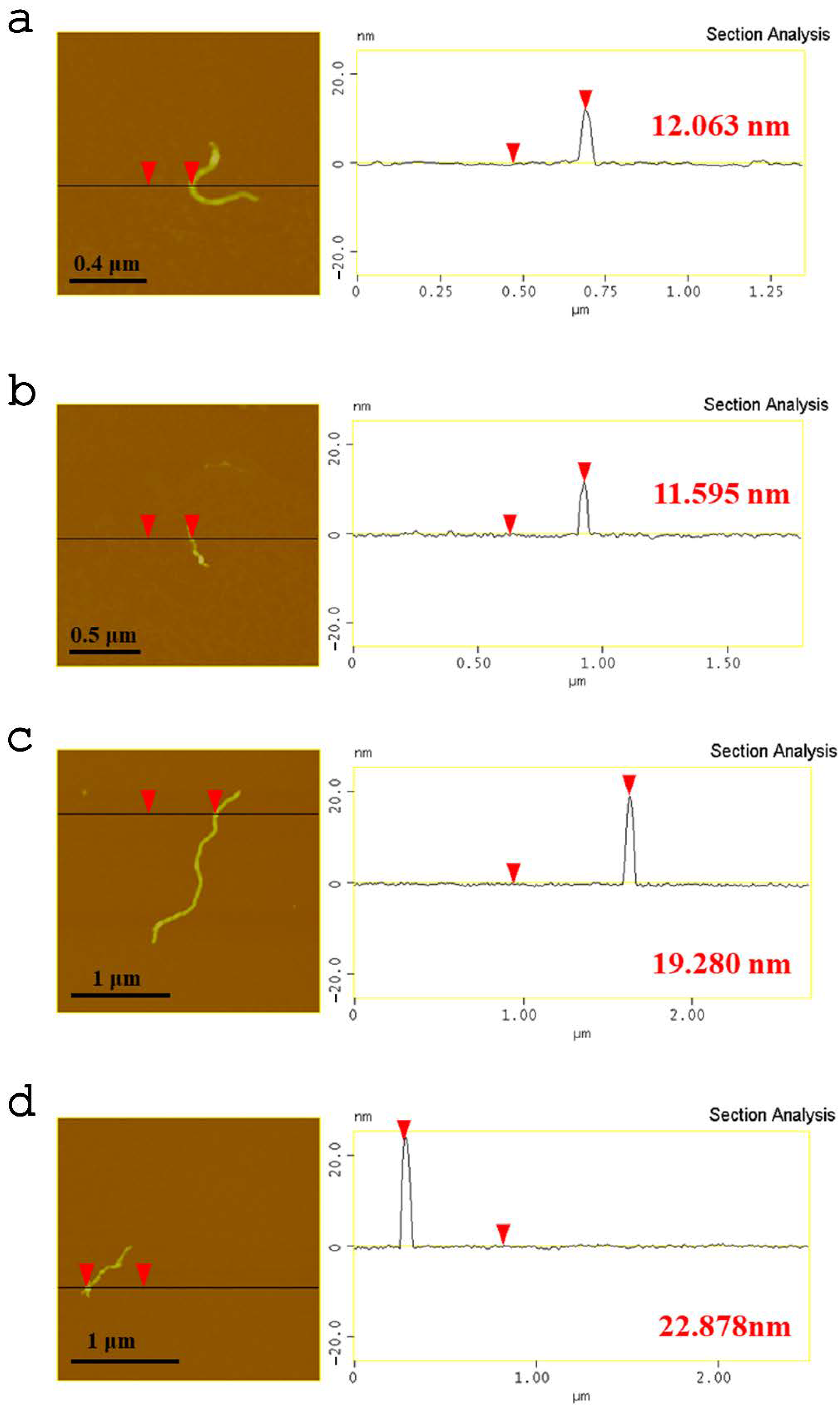 Nanomaterials 13 00714 g007