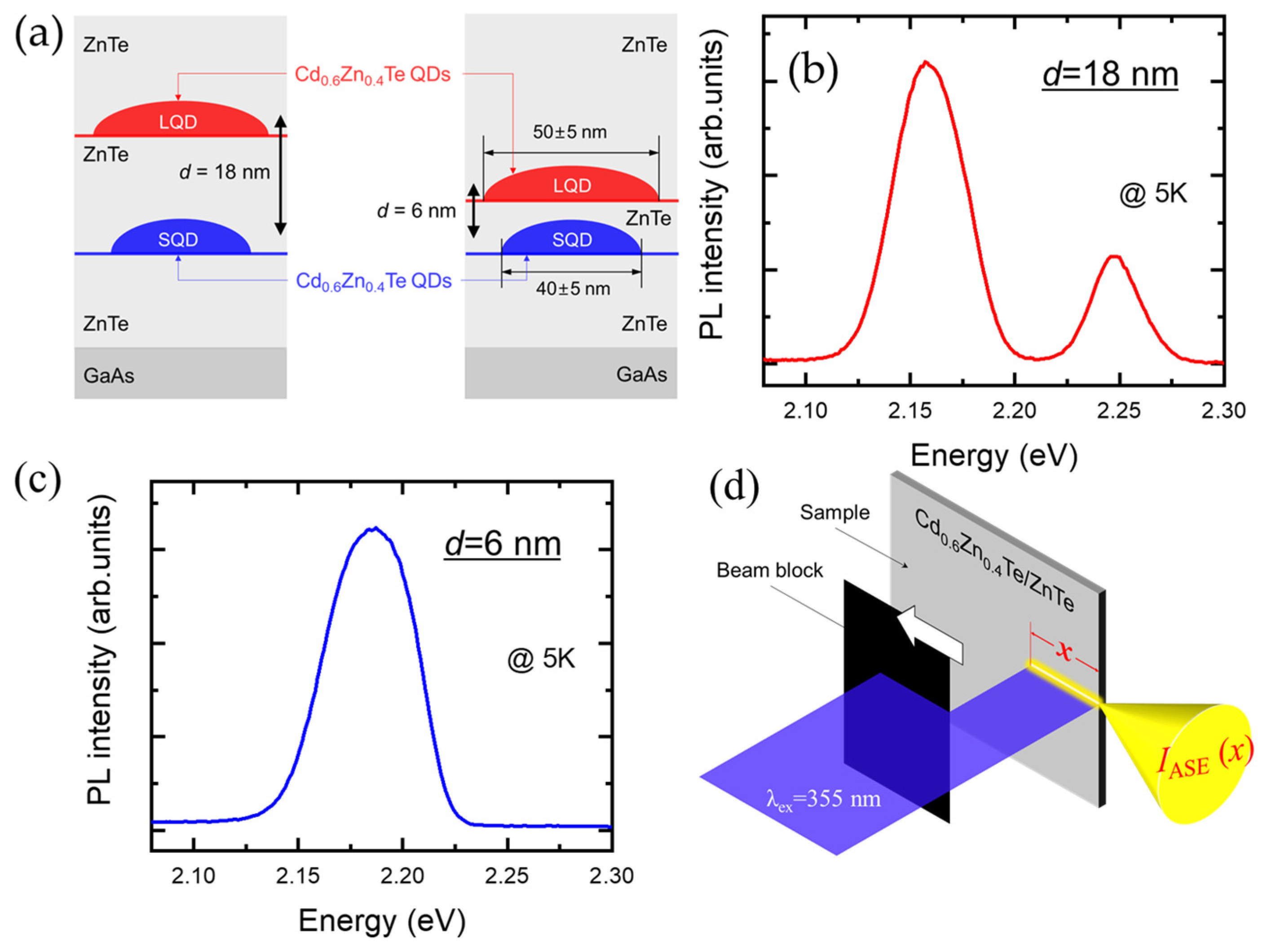 Nanomaterials 13 00716 g001