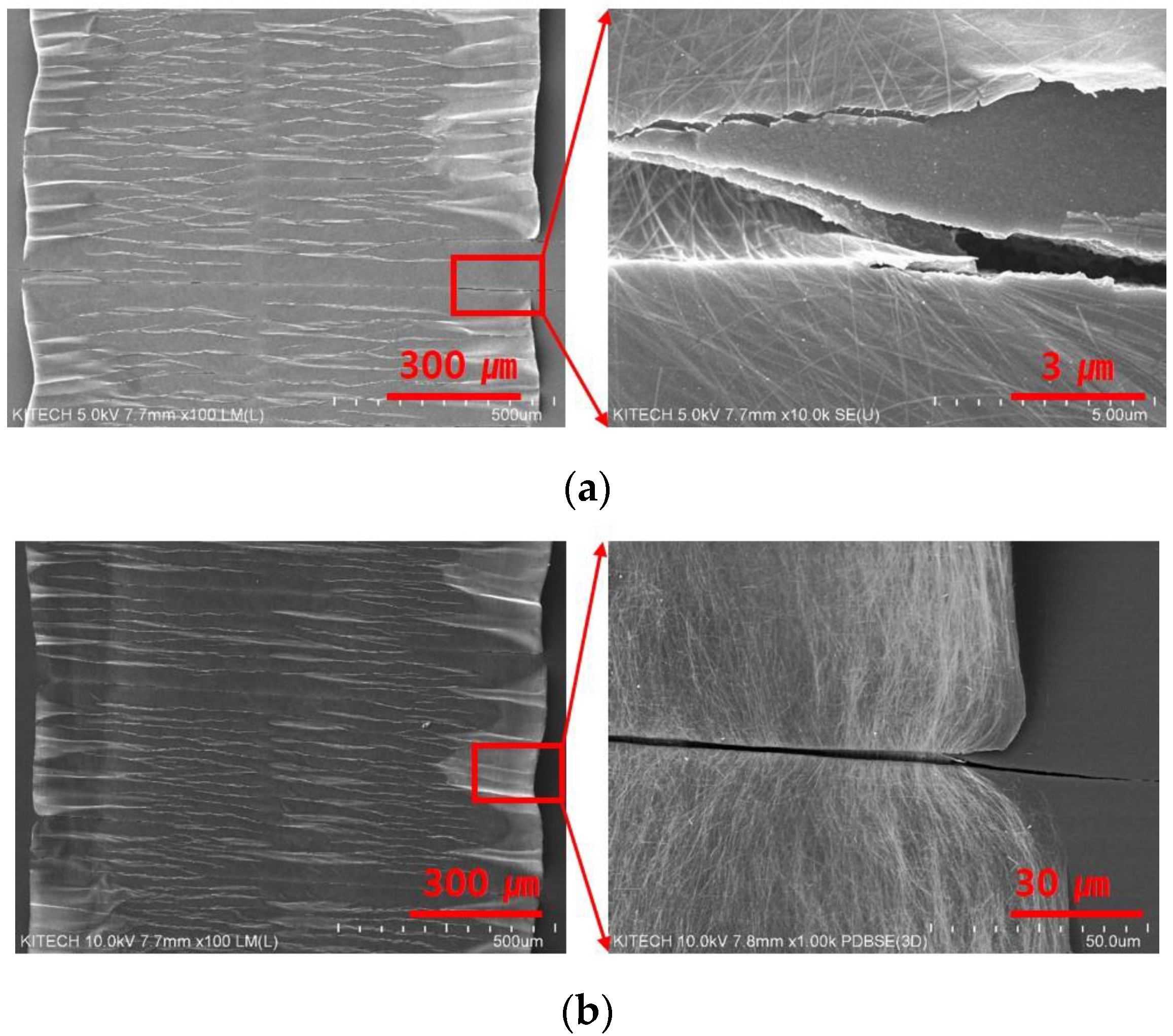 Nanomaterials 13 00719 g003