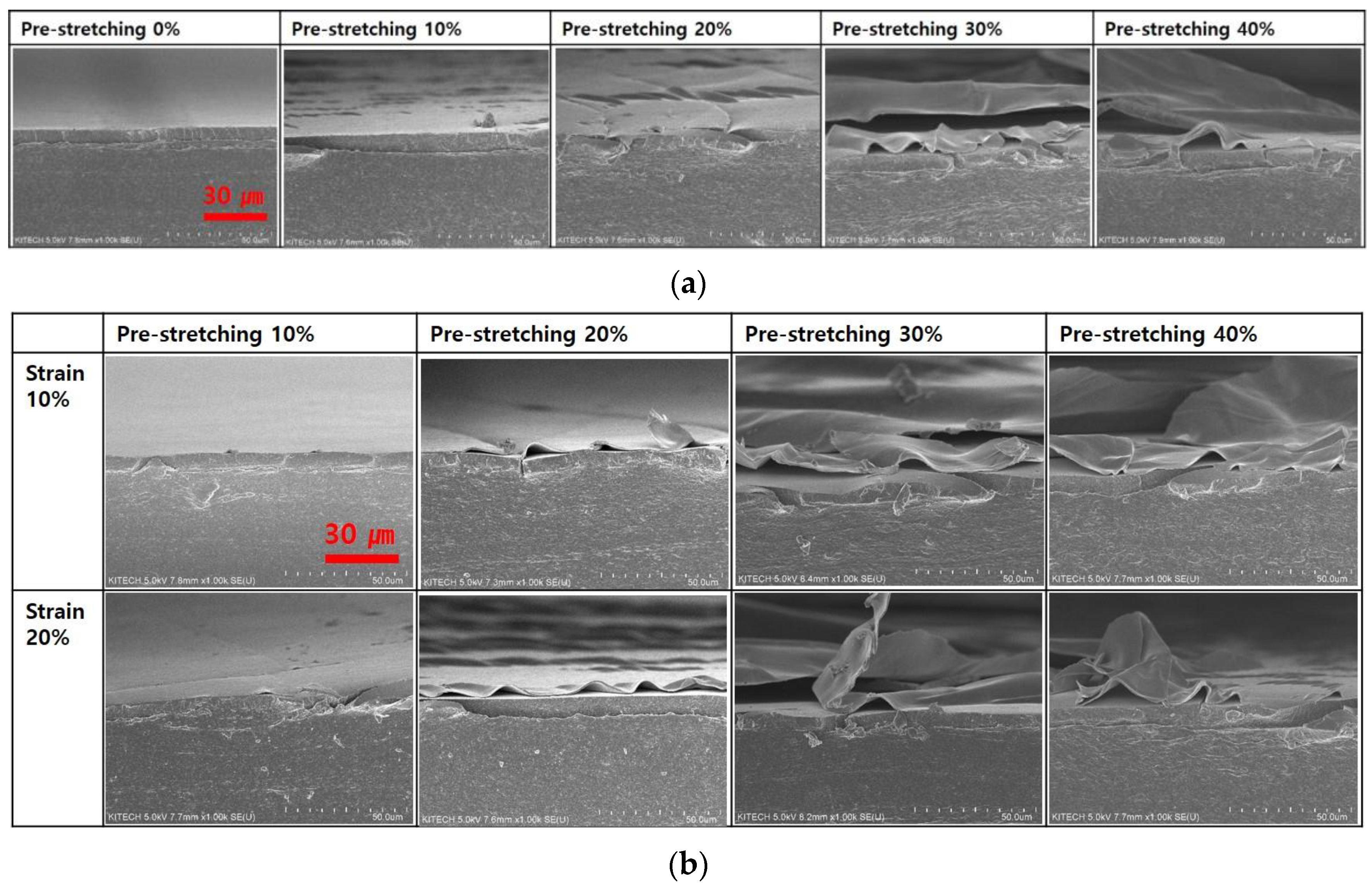 Nanomaterials 13 00719 g006
