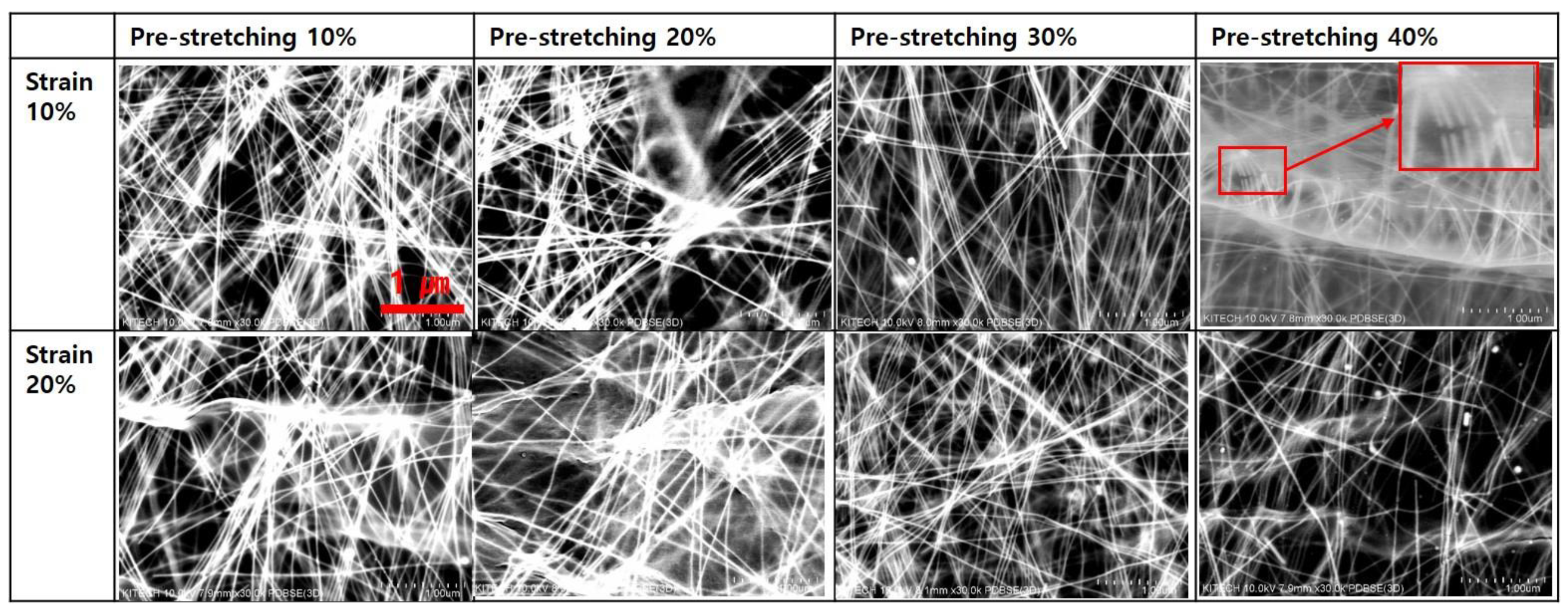Nanomaterials 13 00719 g007