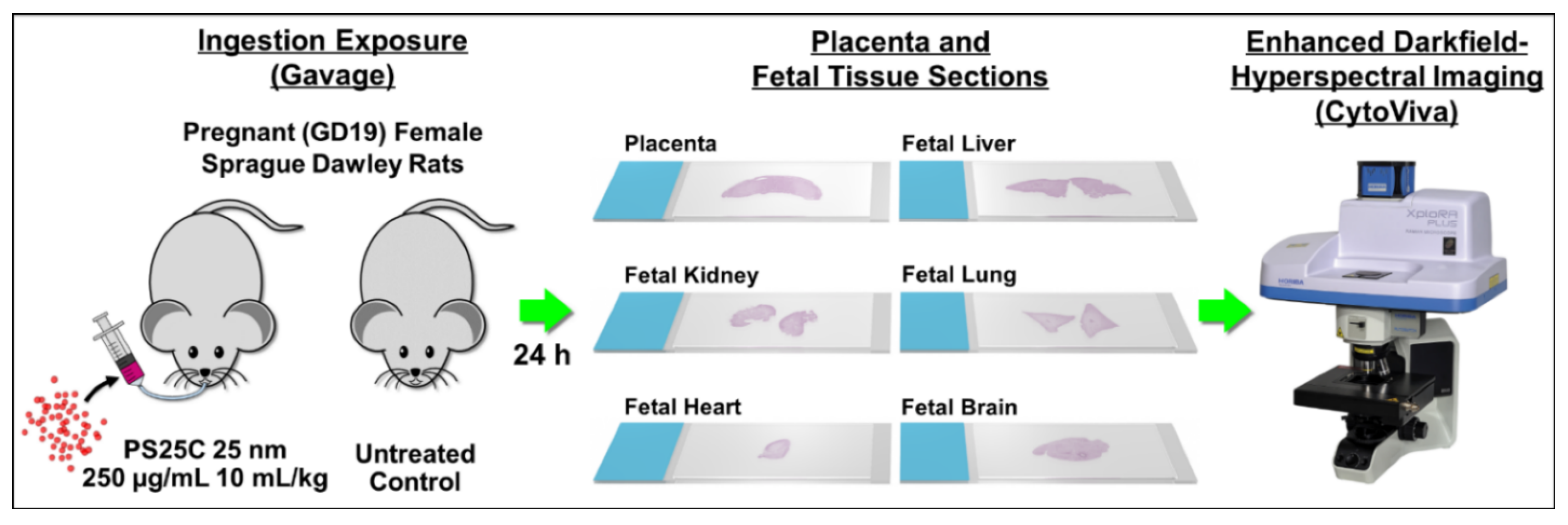 Nanomaterials 13 00720 g001