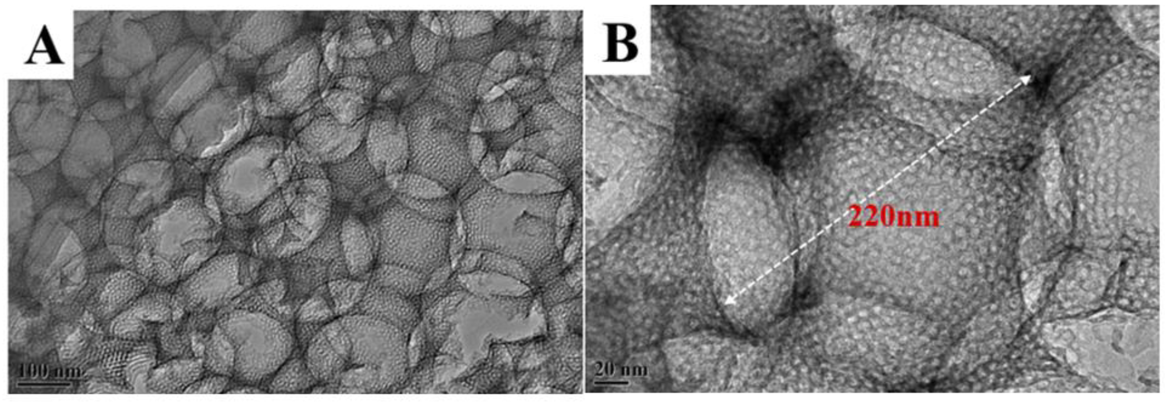 Nanomaterials 13 00728 g002a