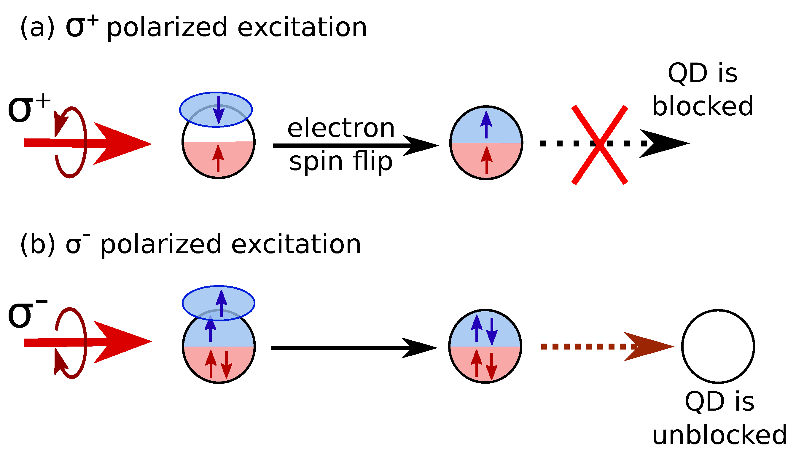 Nanomaterials 13 00729 g011