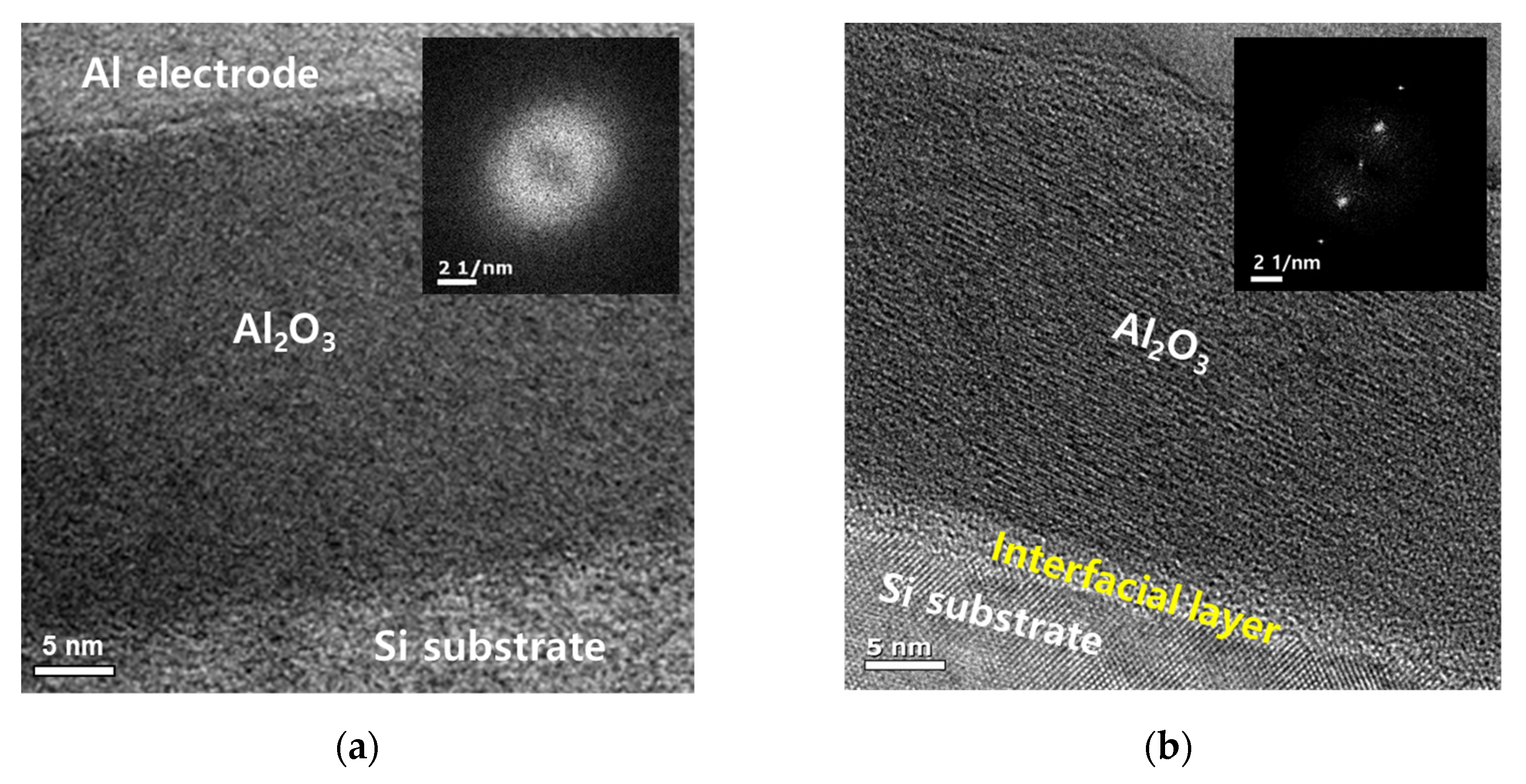 Nanomaterials 13 00731 g002