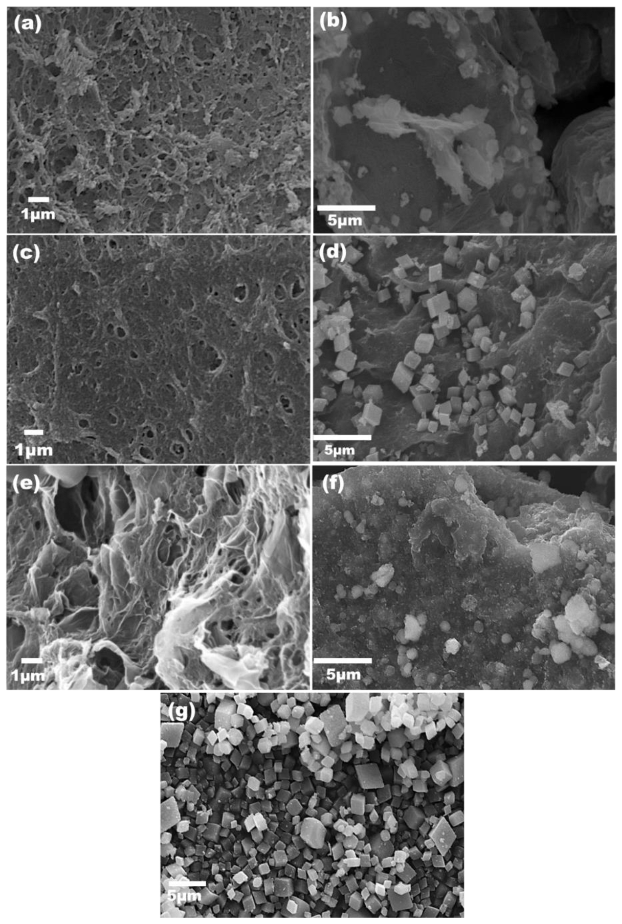 Nanomaterials 13 00732 g003