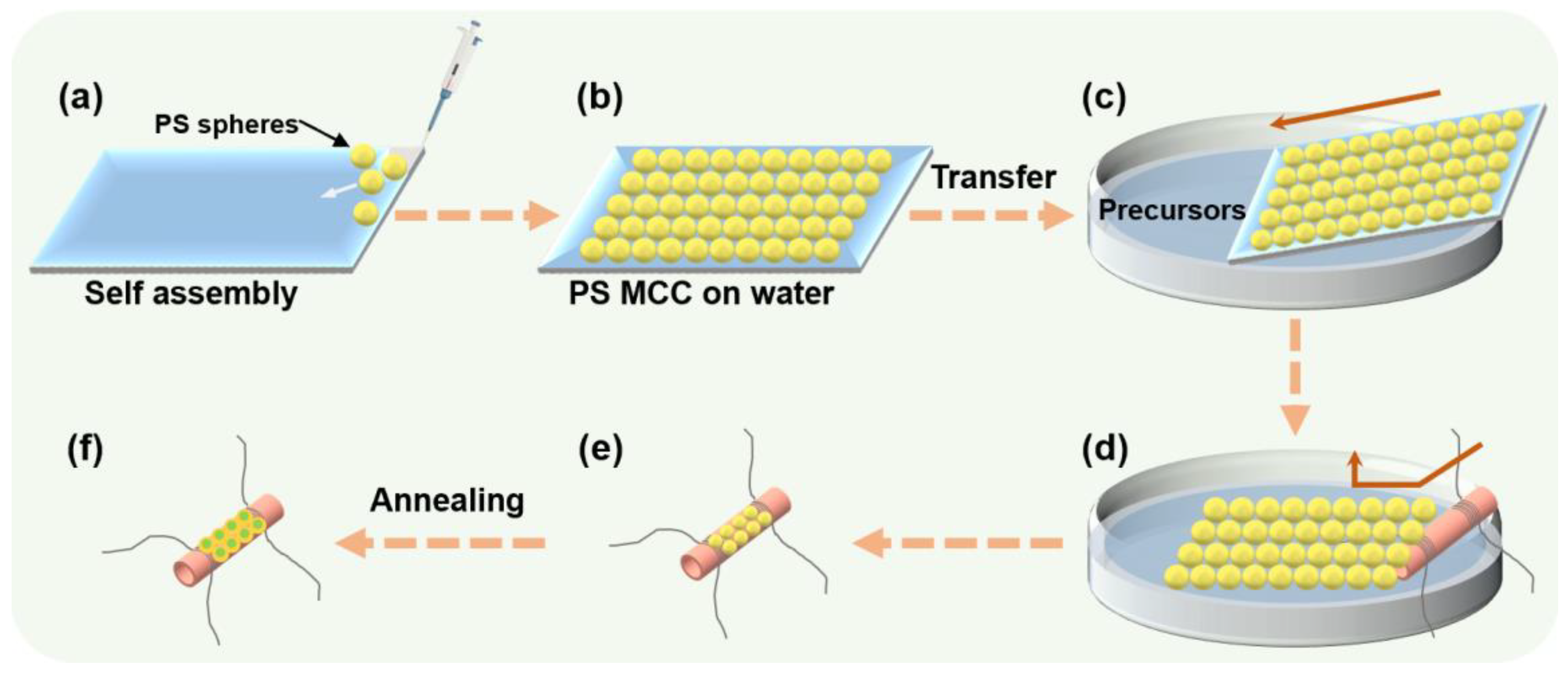 Nanomaterials 13 00733 g001