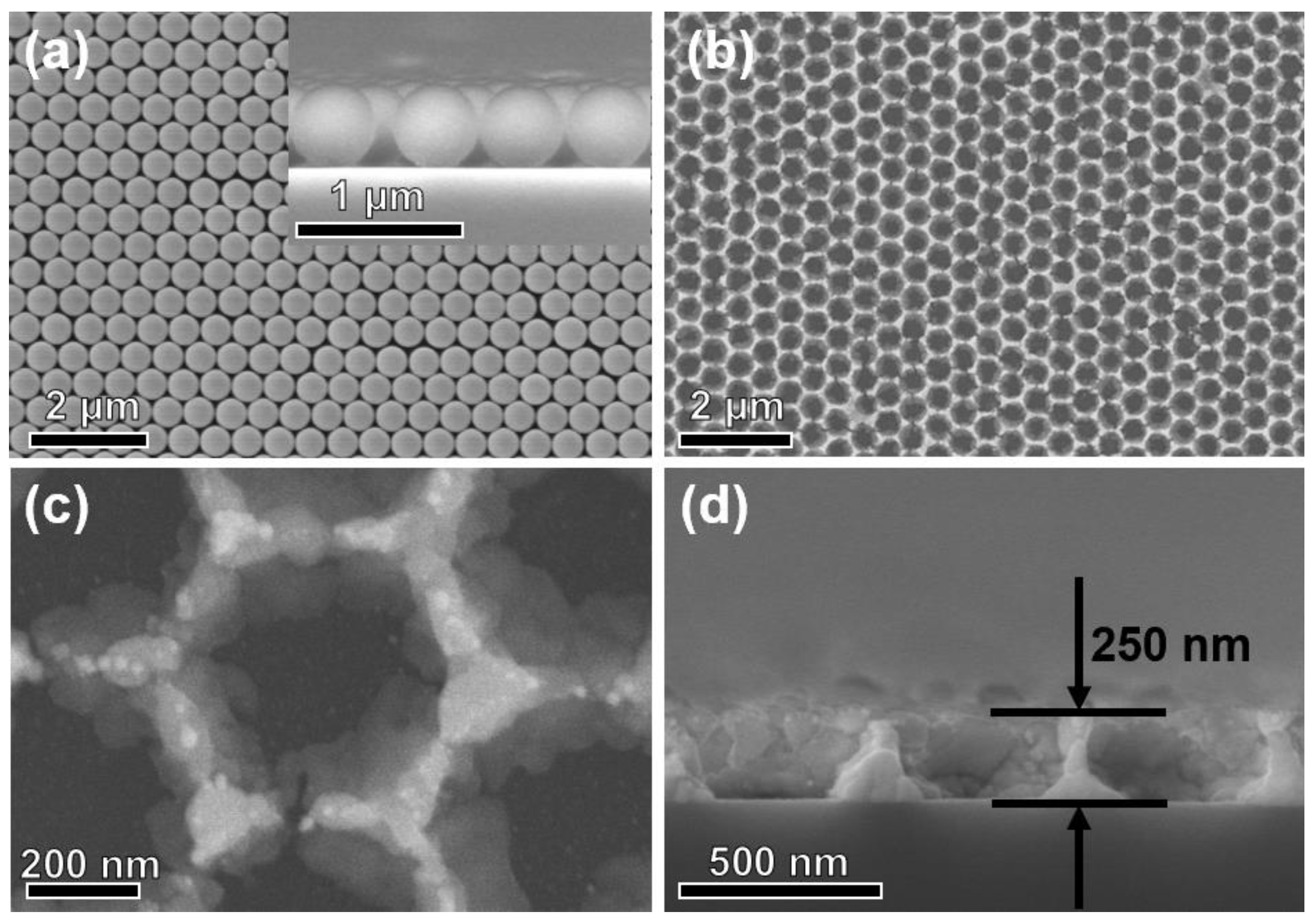 Nanomaterials 13 00733 g003