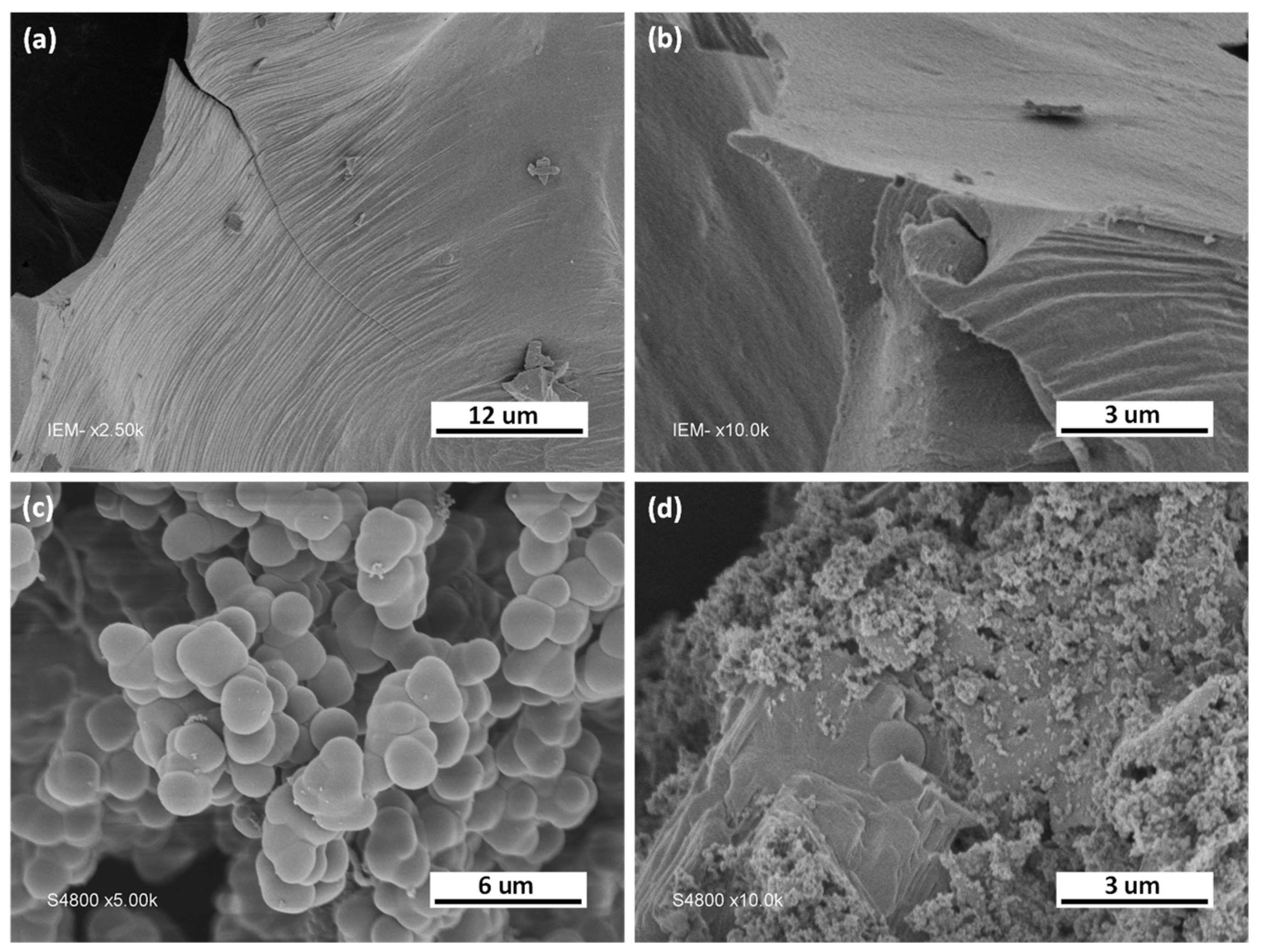 Nanomaterials 13 00734 g002