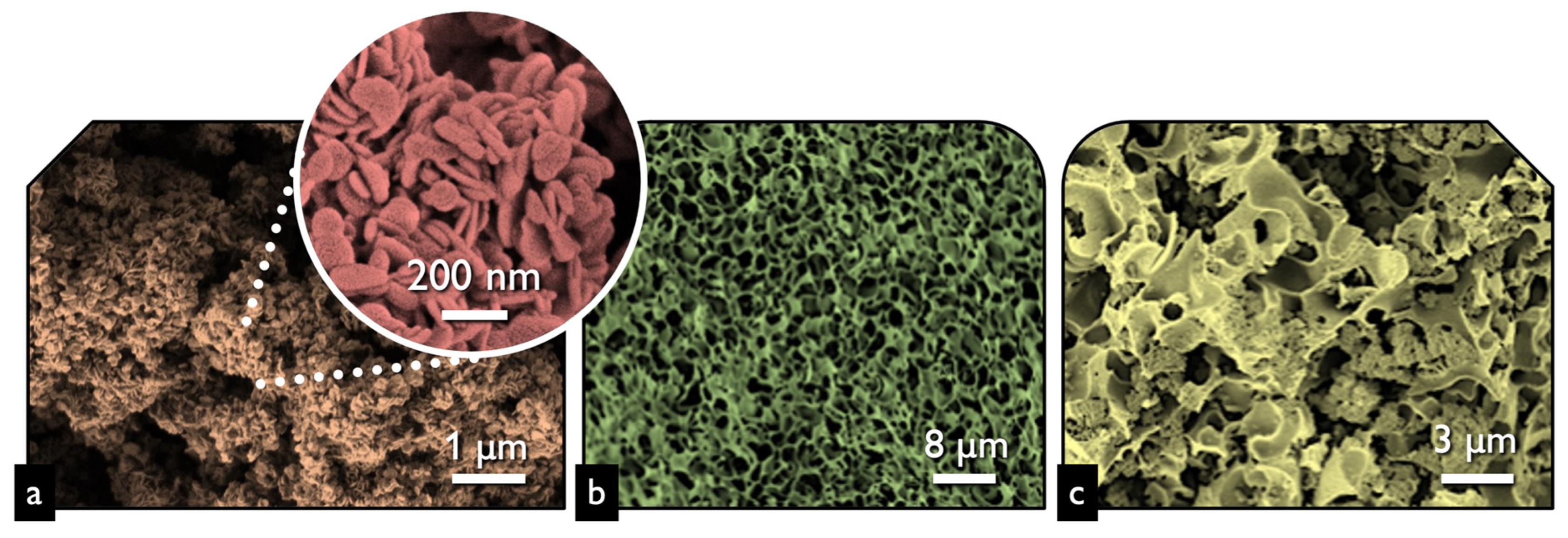 Nanomaterials 13 00735 g001