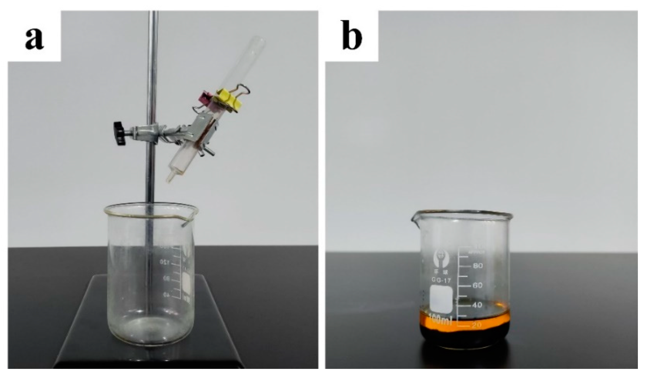 Nanomaterials 13 00736 g002