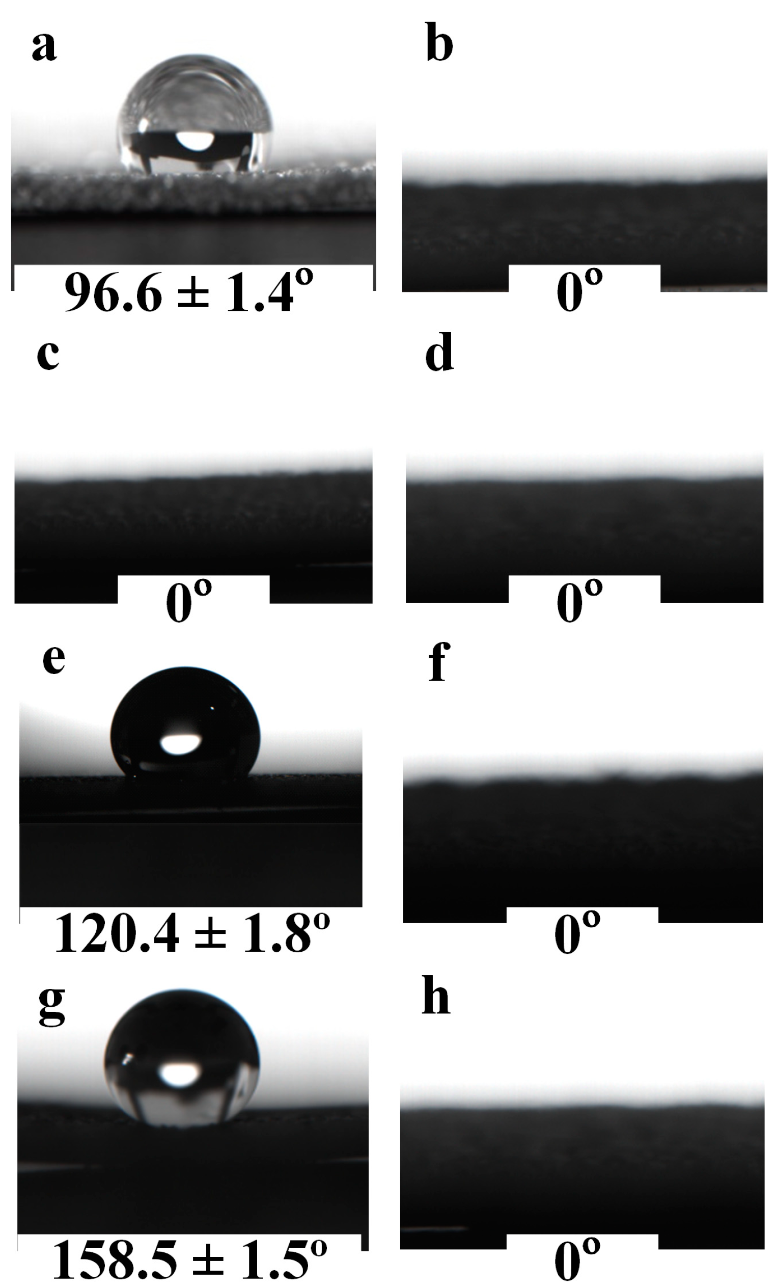 Nanomaterials 13 00736 g006