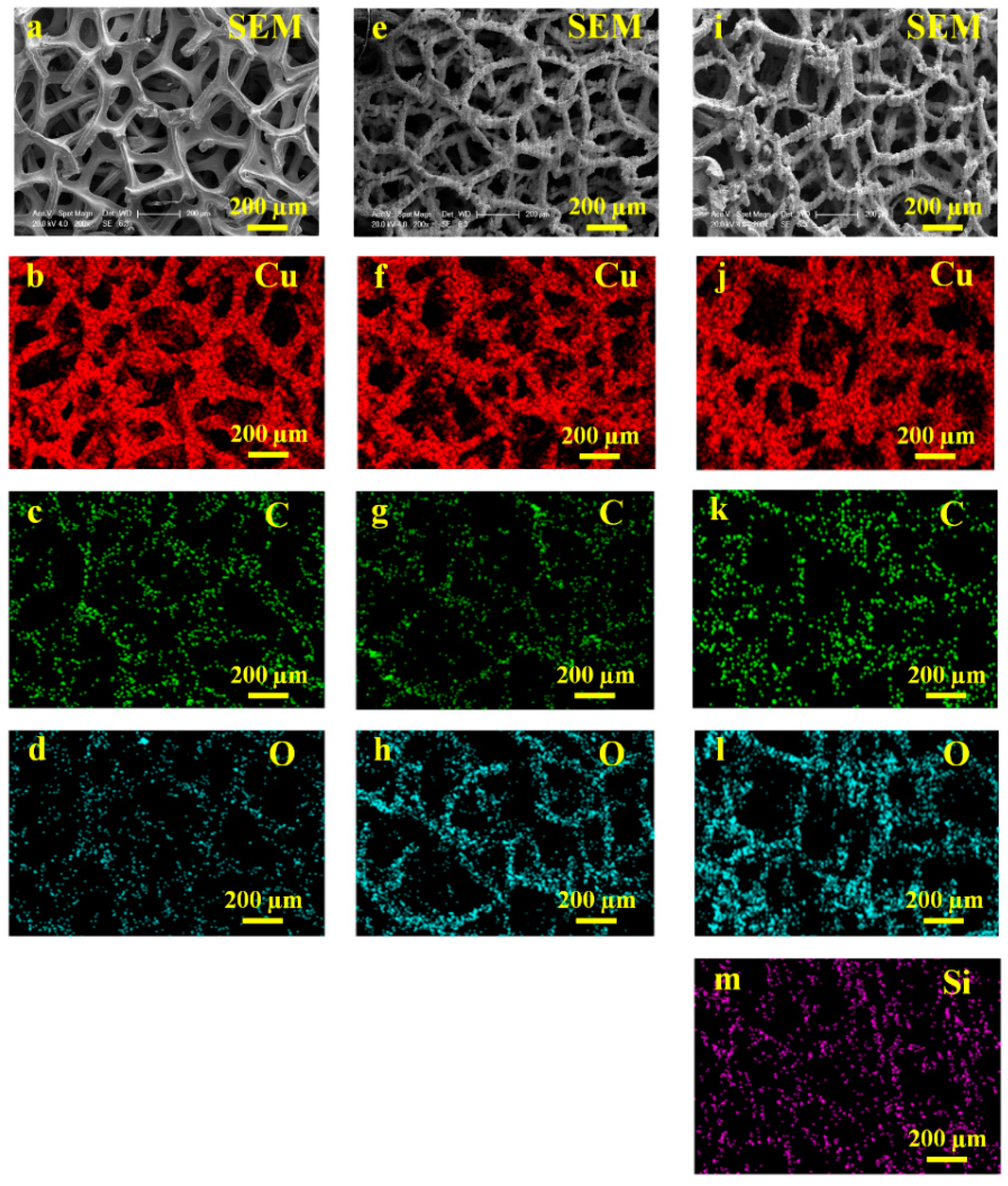 Nanomaterials 13 00736 g010