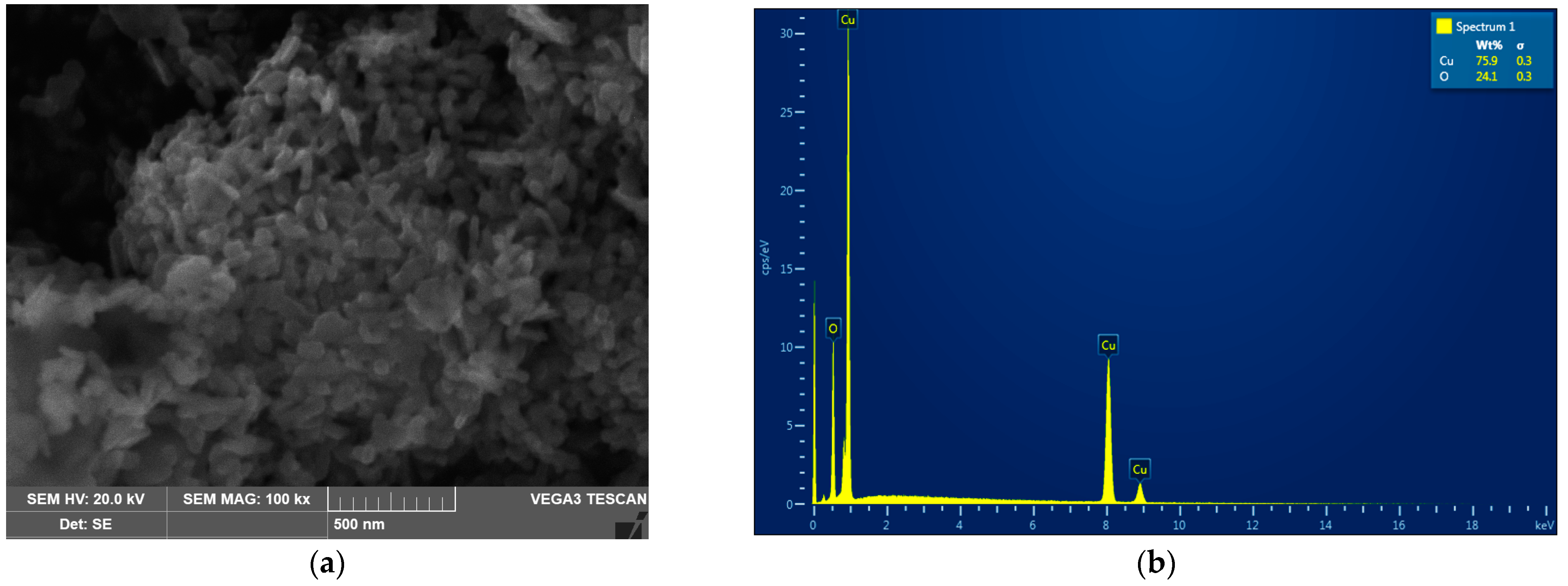 Nanomaterials 13 00737 g001