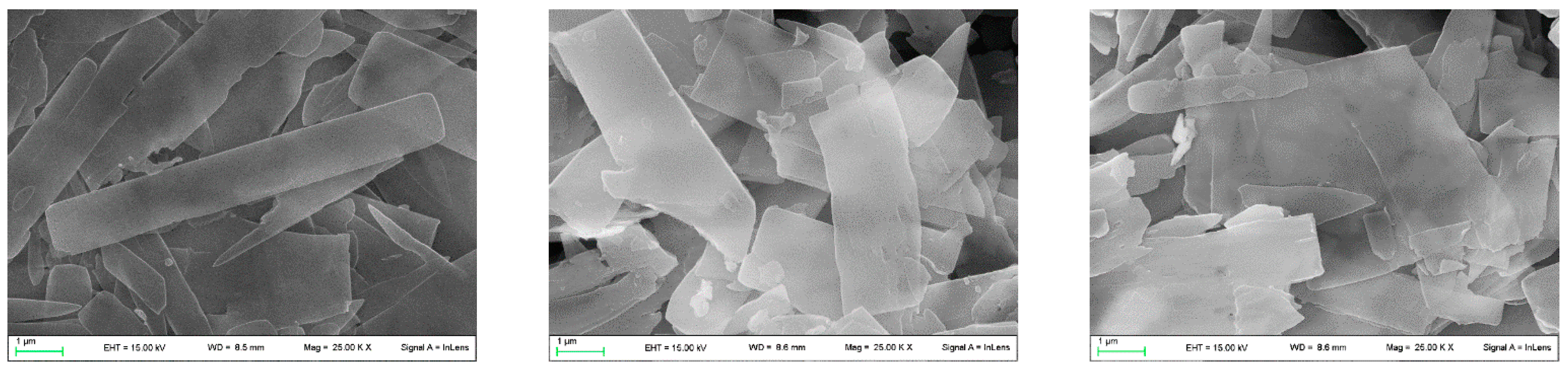 Nanomaterials 13 00742 g004