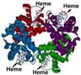 Nanomaterials 13 00745 i001
