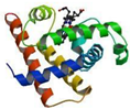 Nanomaterials 13 00745 i002