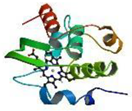 Nanomaterials 13 00745 i003