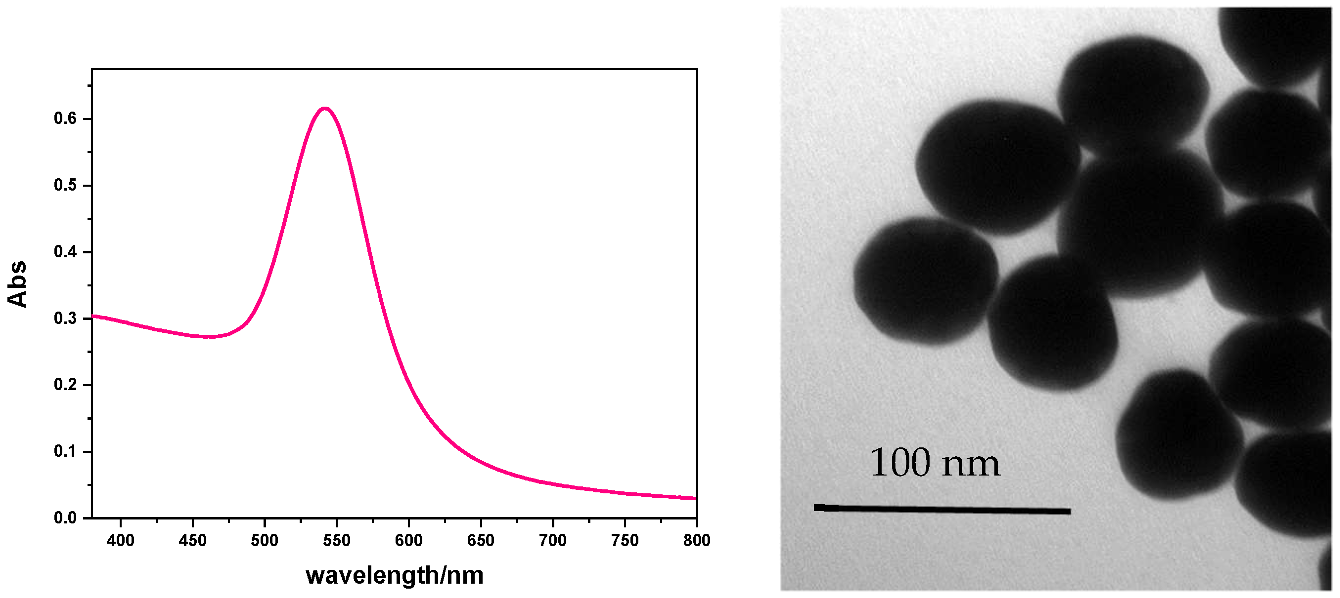 Nanomaterials 13 00746 g001