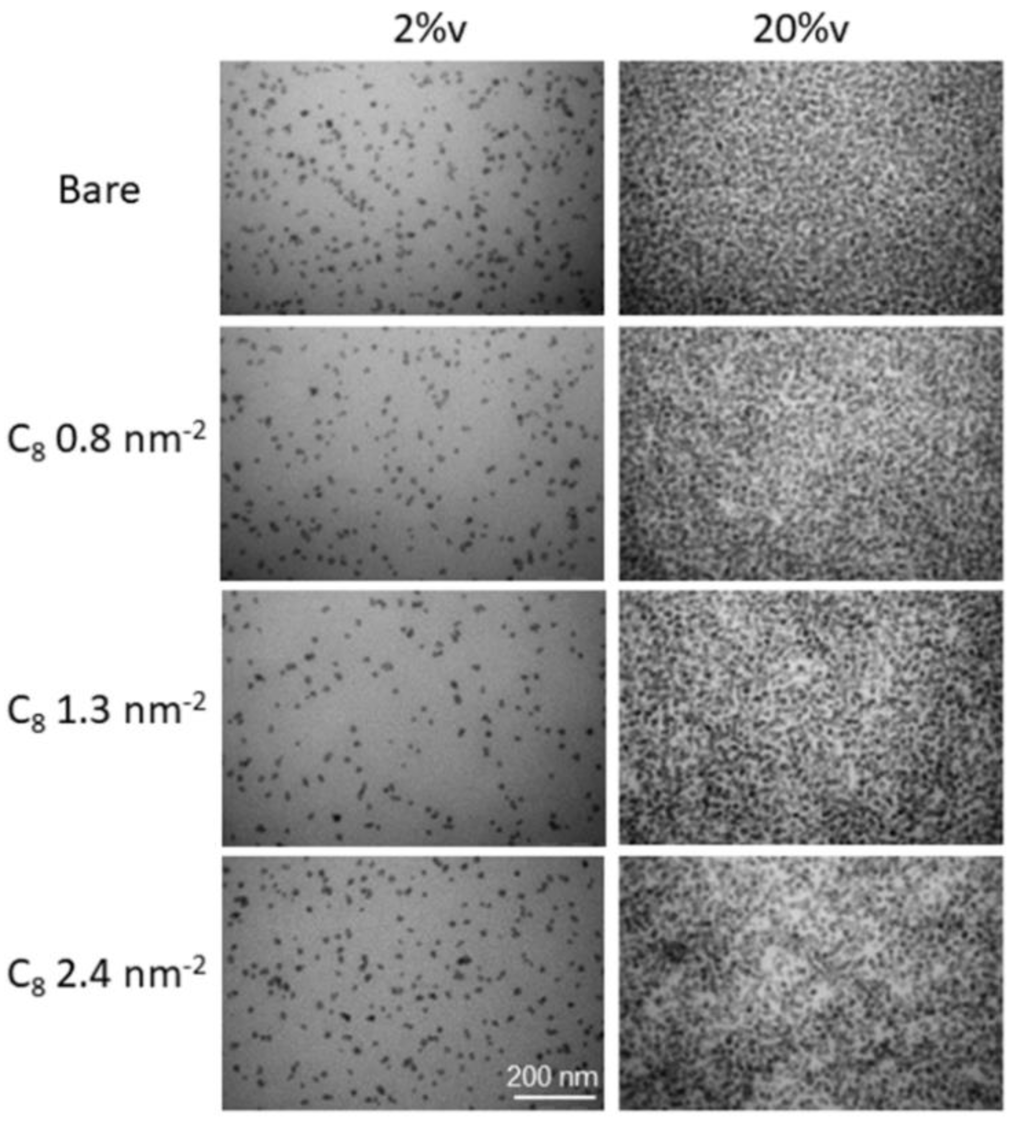 Nanomaterials 13 00748 g001 Nanomaterials 13 00748 g001