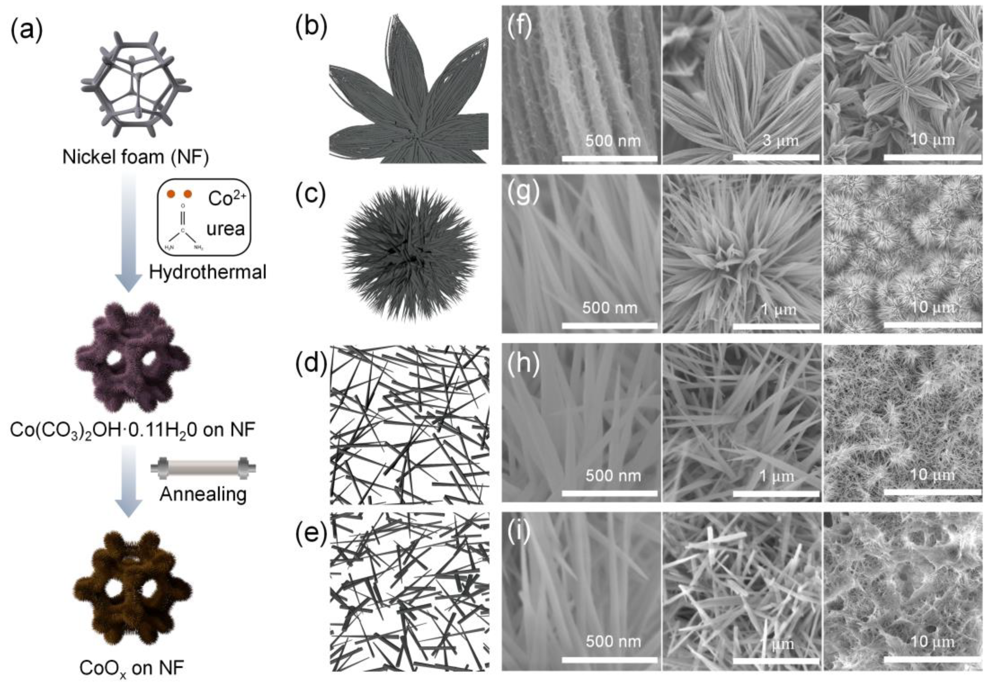 Nanomaterials 13 00749 g001