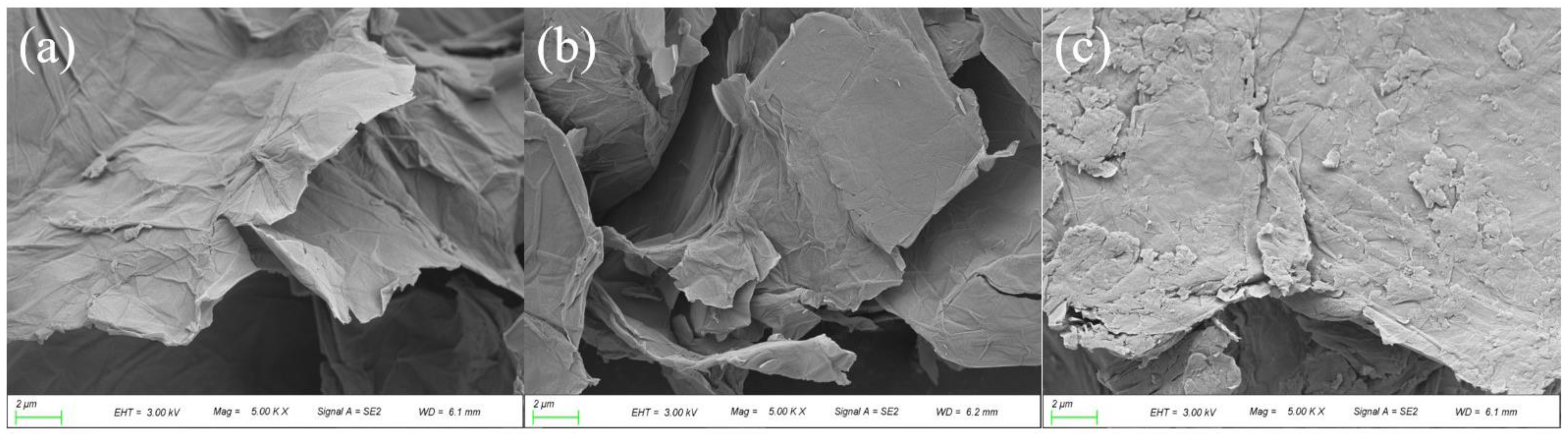 Nanomaterials 13 00751 g002 Nanomaterials 13 00751 g002