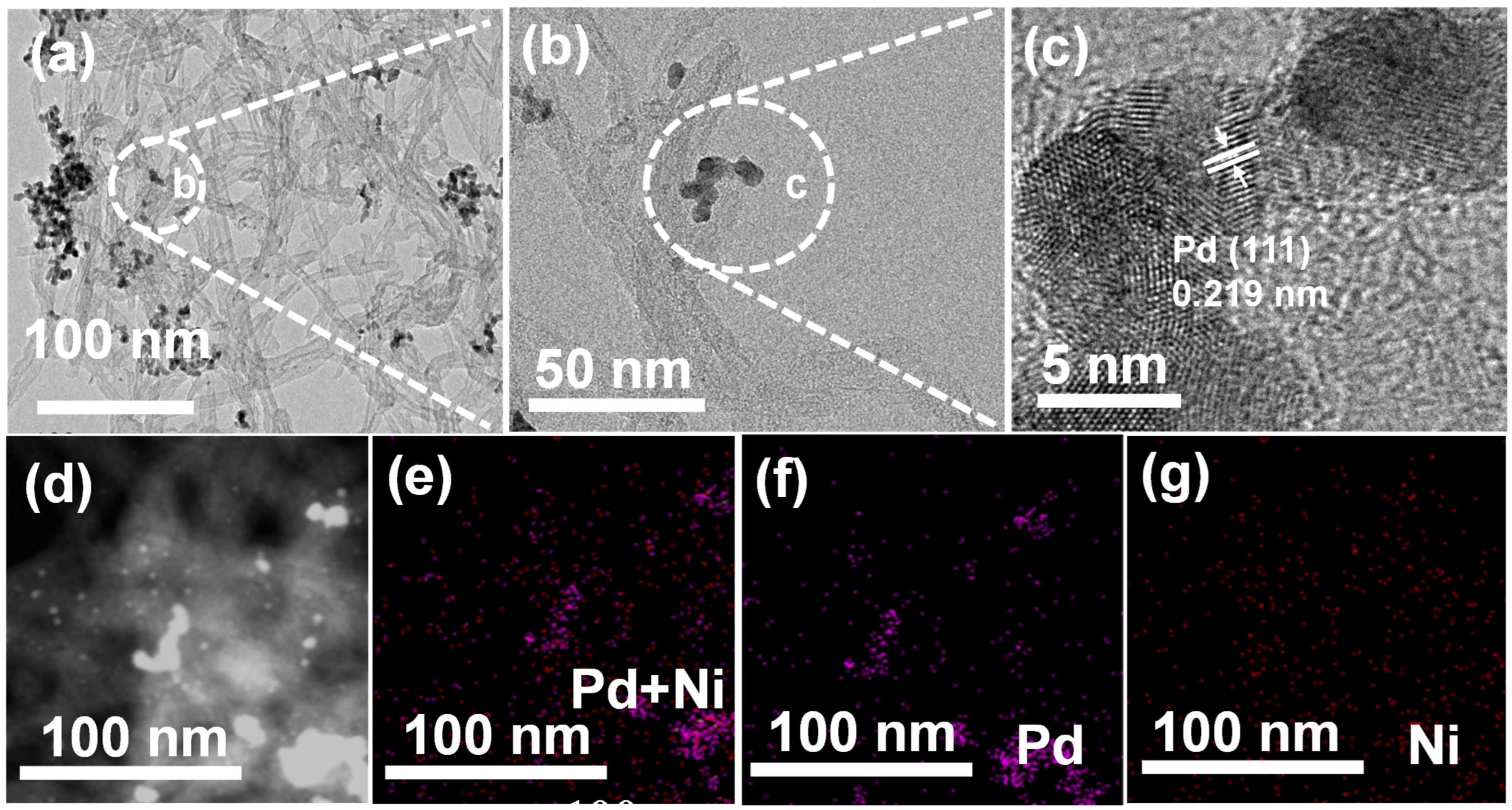 Nanomaterials 13 00755 g002