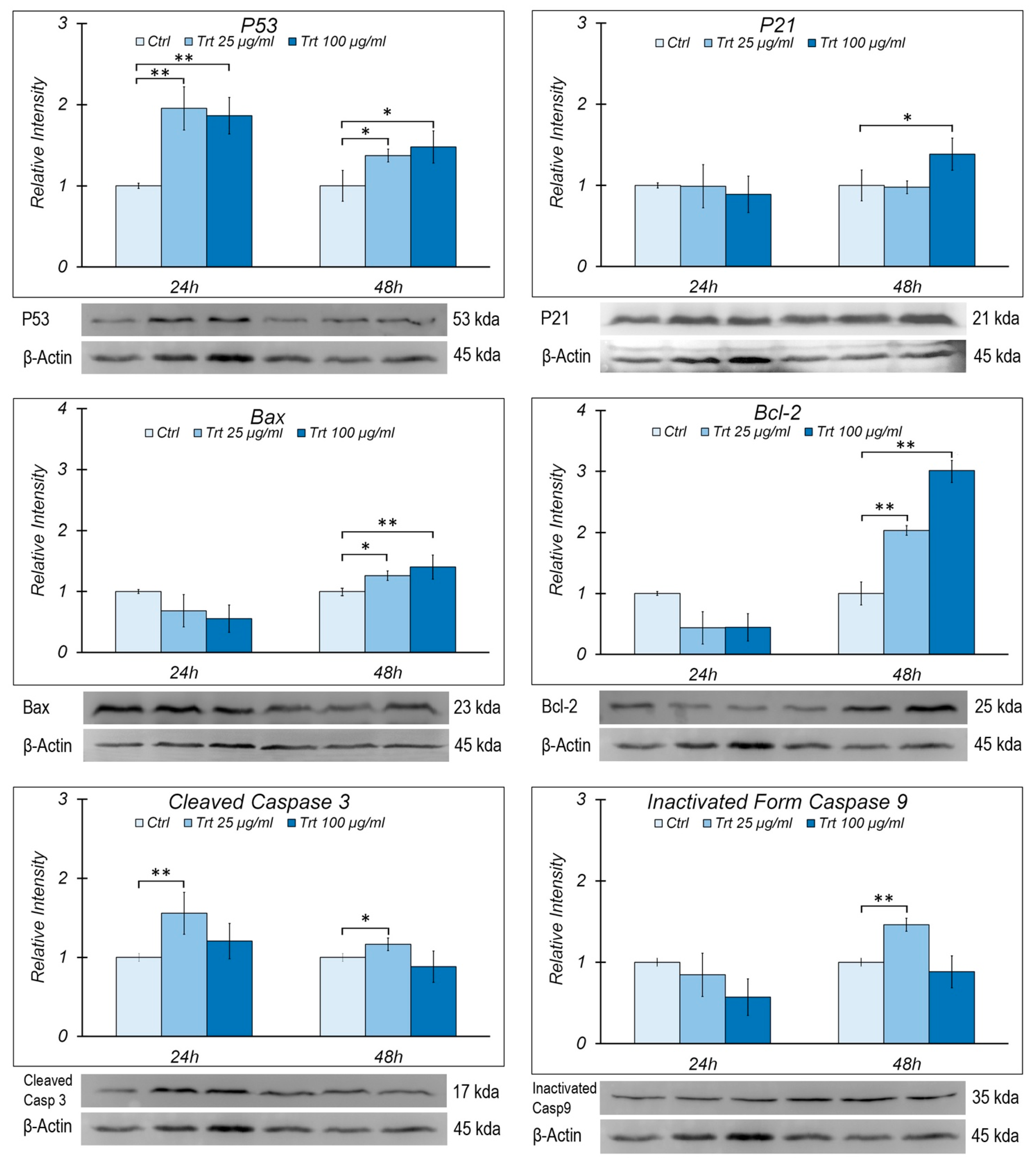 Nanomaterials 13 00756 g004