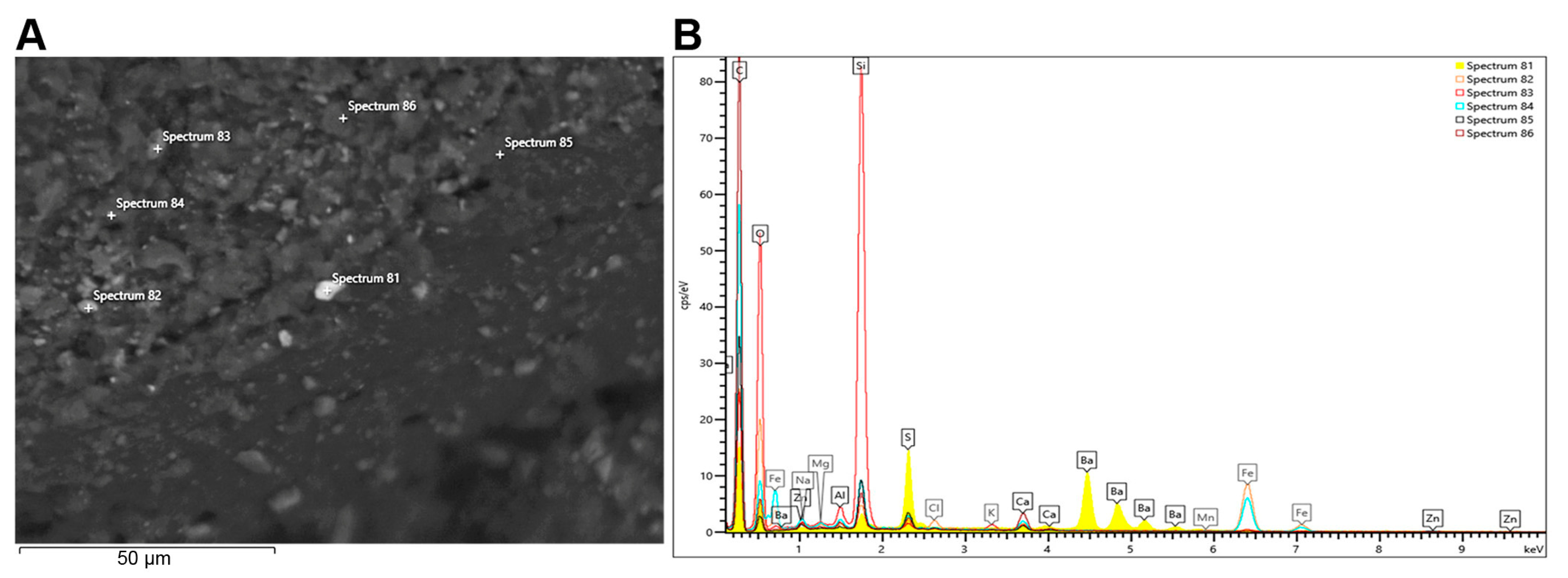 Nanomaterials 13 00756 g005