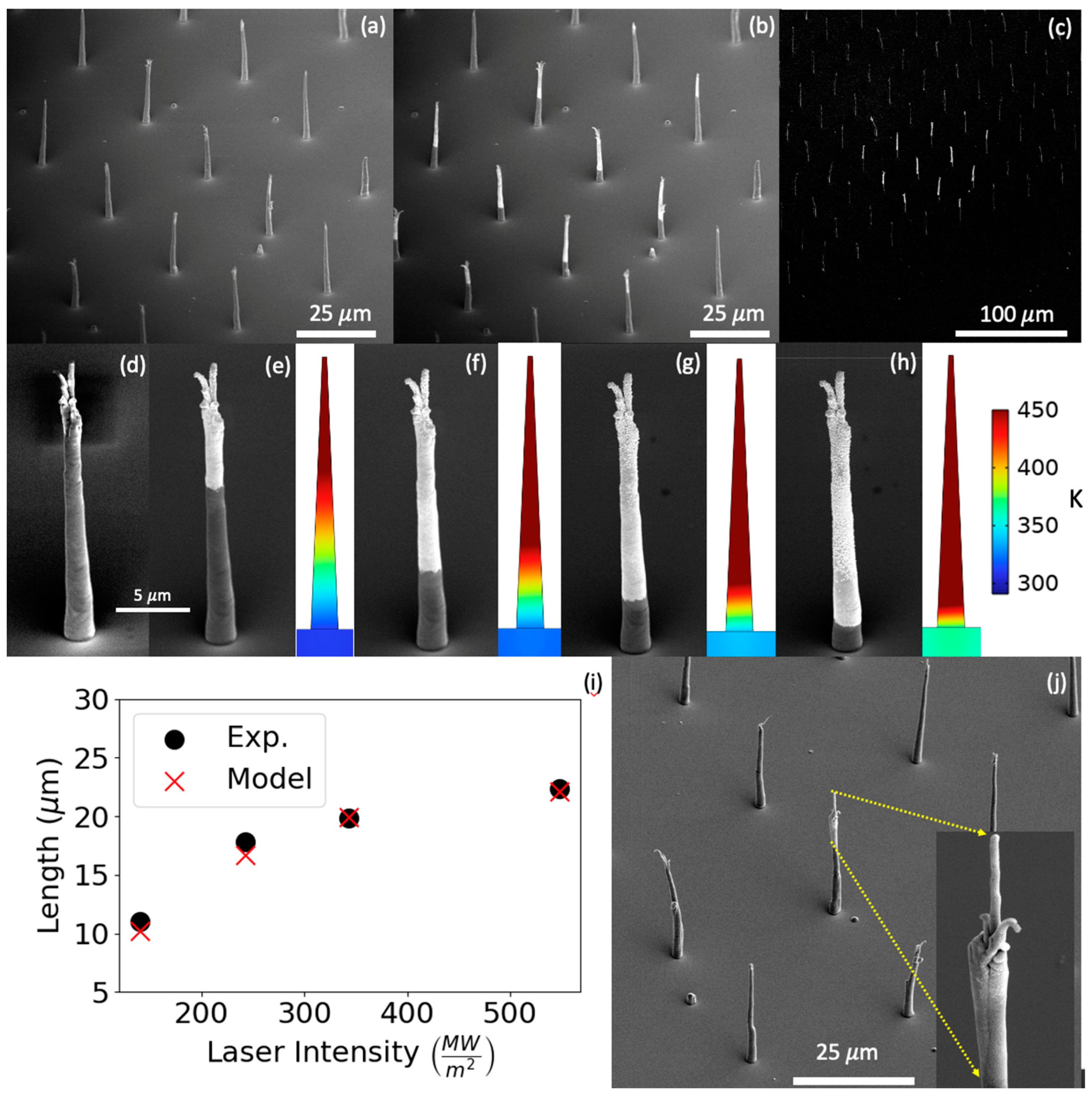 Nanomaterials 13 00757 g006 Nanomaterials 13 00757 g006