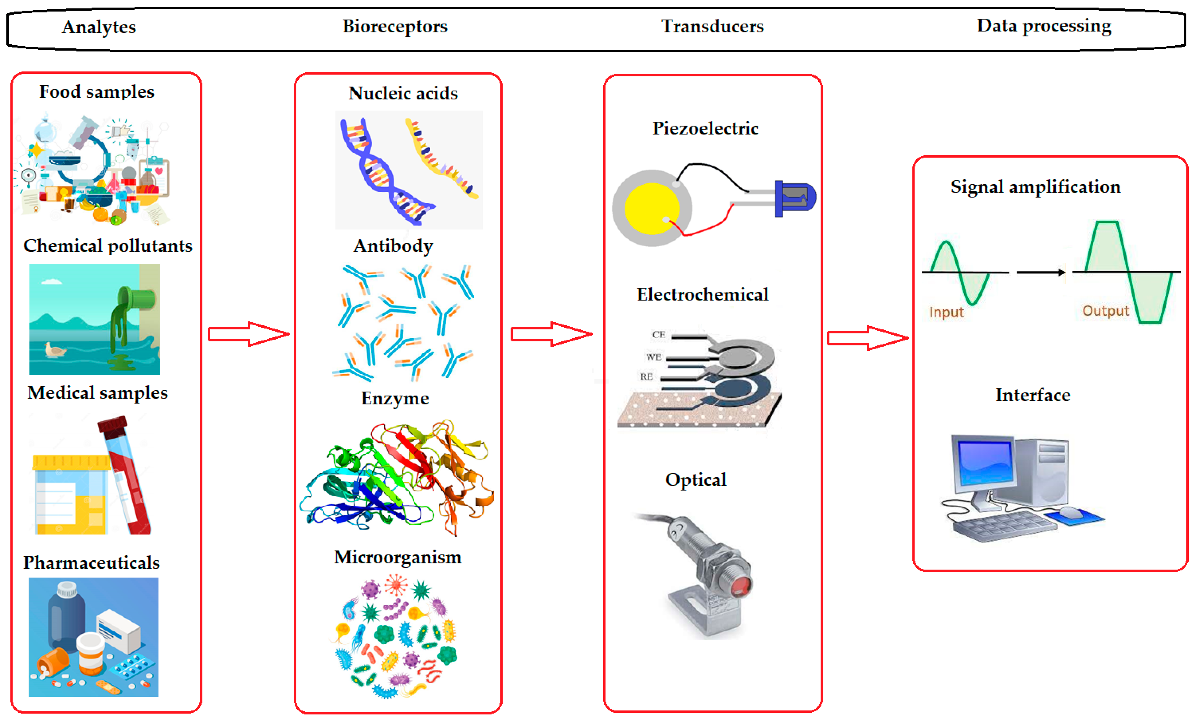Nanomaterials 13 00760 g001