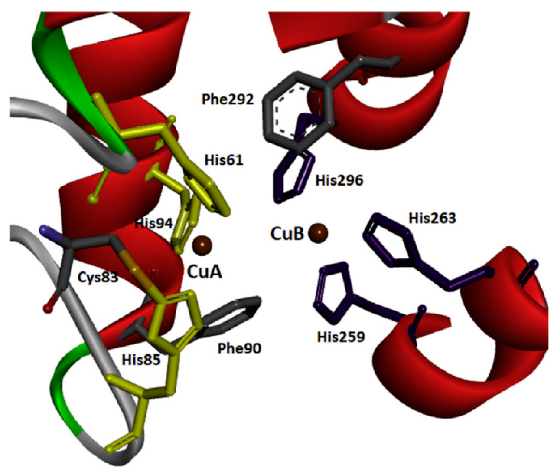 Nanomaterials 13 00760 g002