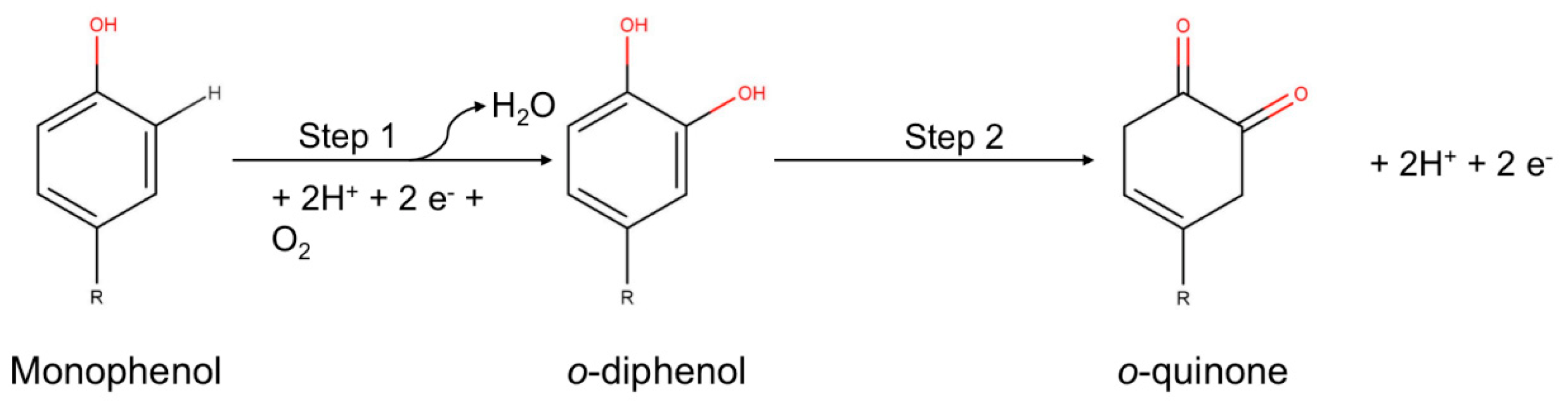 Nanomaterials 13 00760 g003