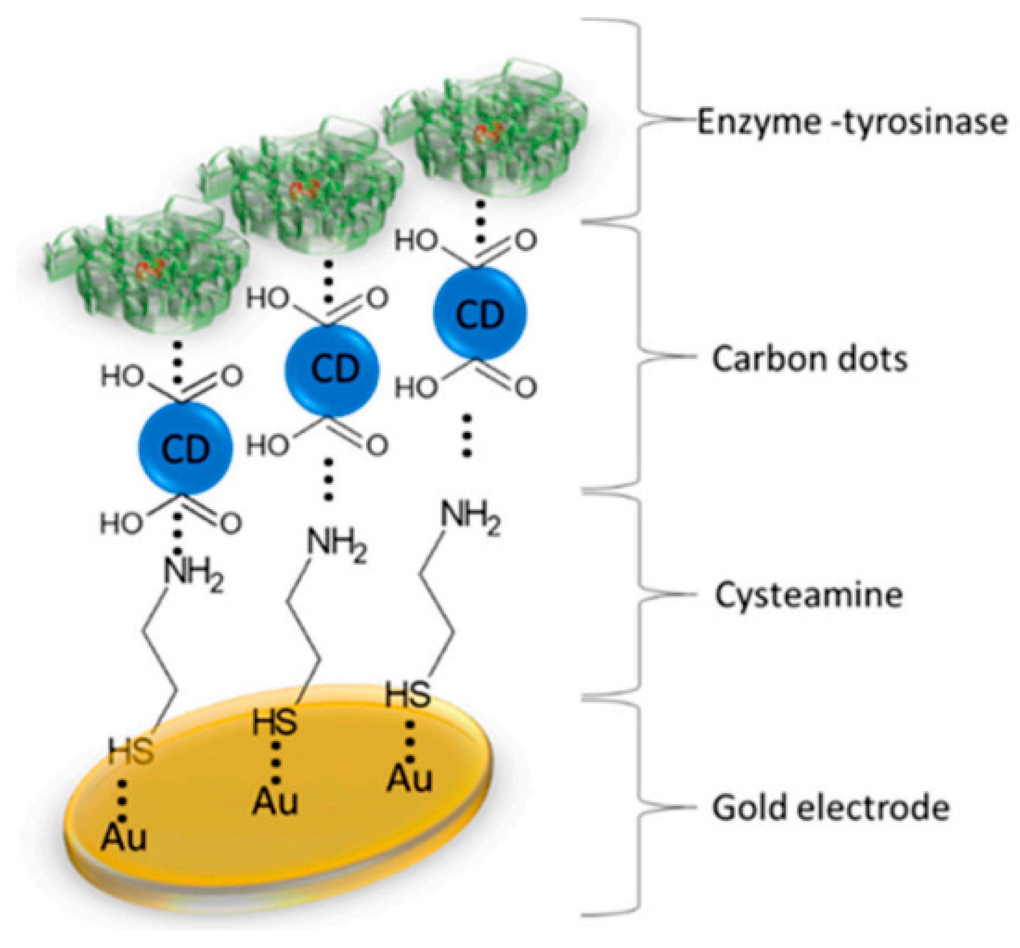 Nanomaterials 13 00760 g010