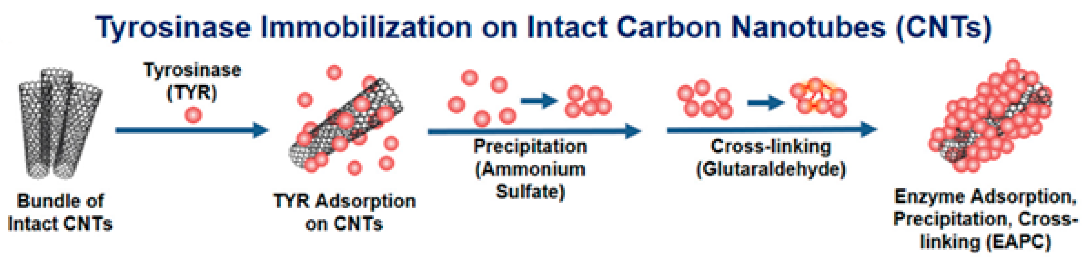 Nanomaterials 13 00760 g011
