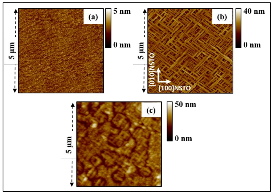 Nanomaterials 13 00761 g001