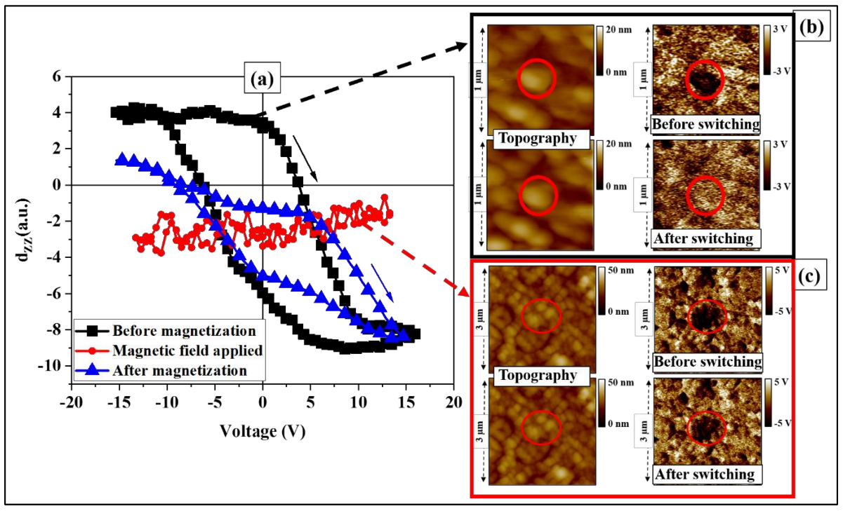 Nanomaterials 13 00761 g006