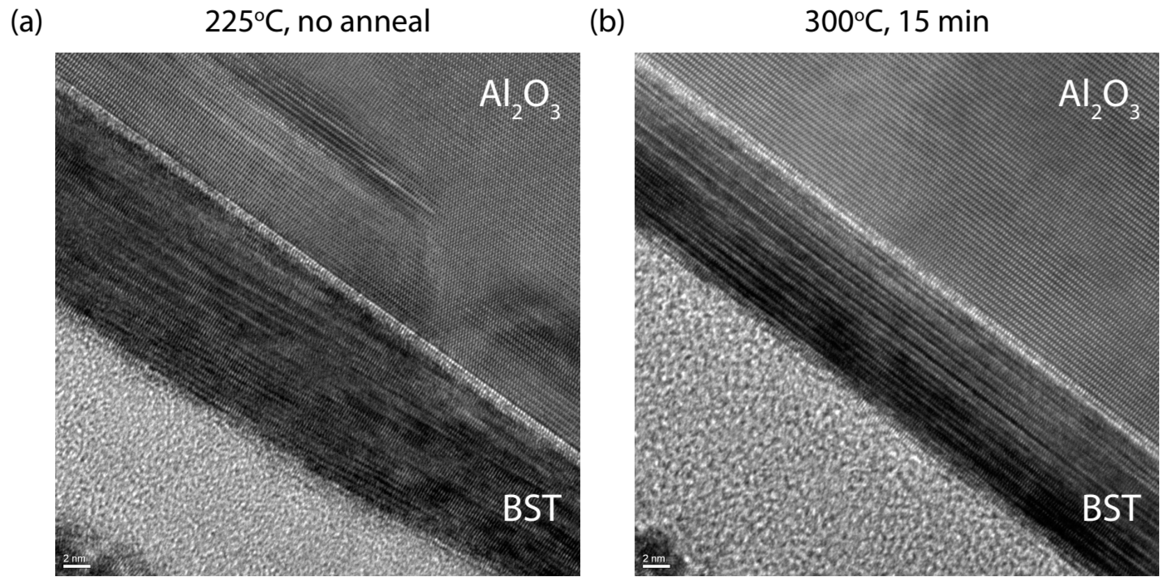 Nanomaterials 13 00763 g004 Nanomaterials 13 00763 g004
