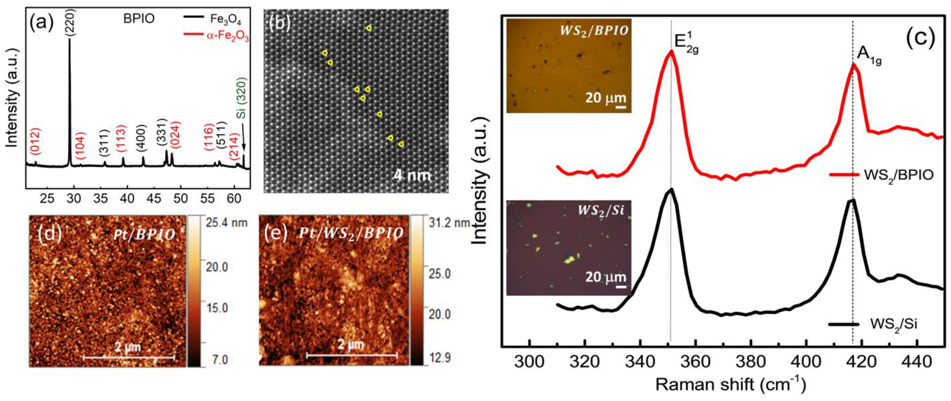 Nanomaterials 13 00771 g001