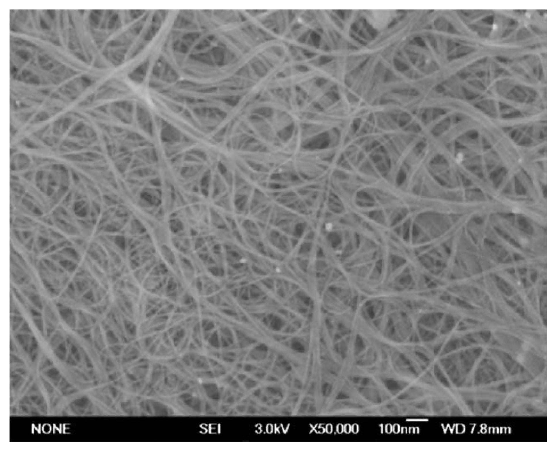 Nanomaterials 13 00774 g006