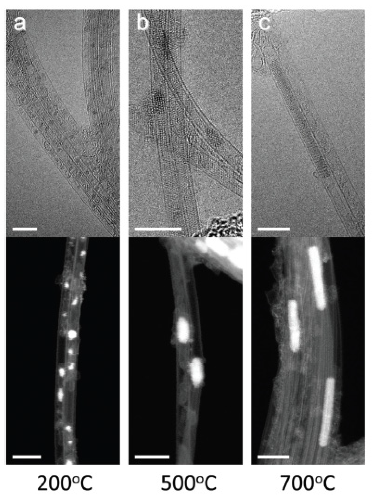Nanomaterials 13 00774 g012