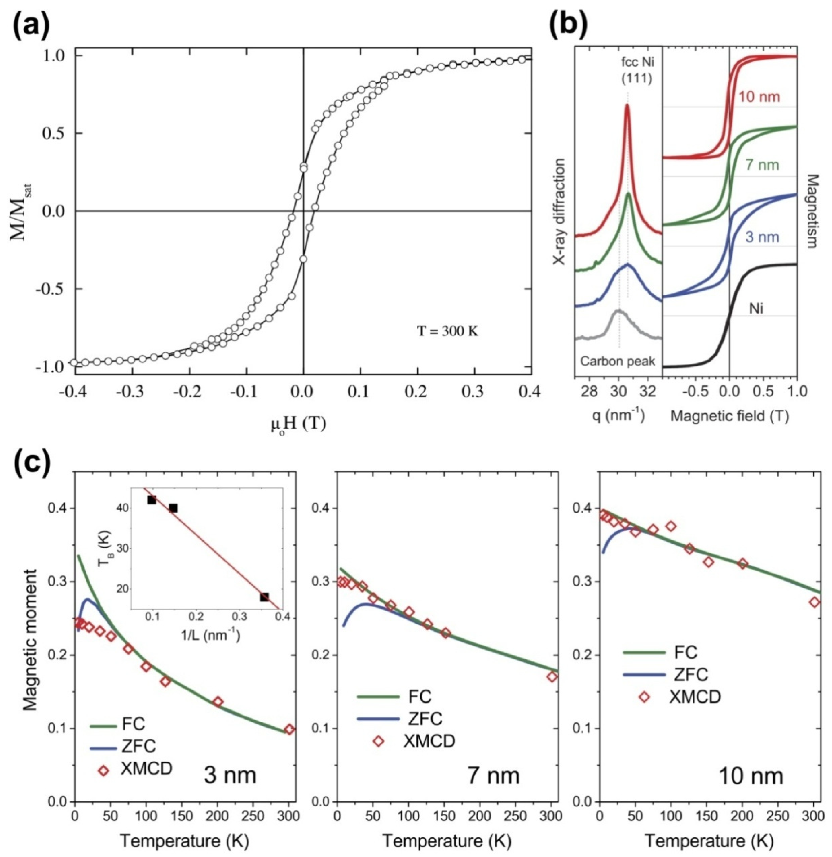 Nanomaterials 13 00774 g027