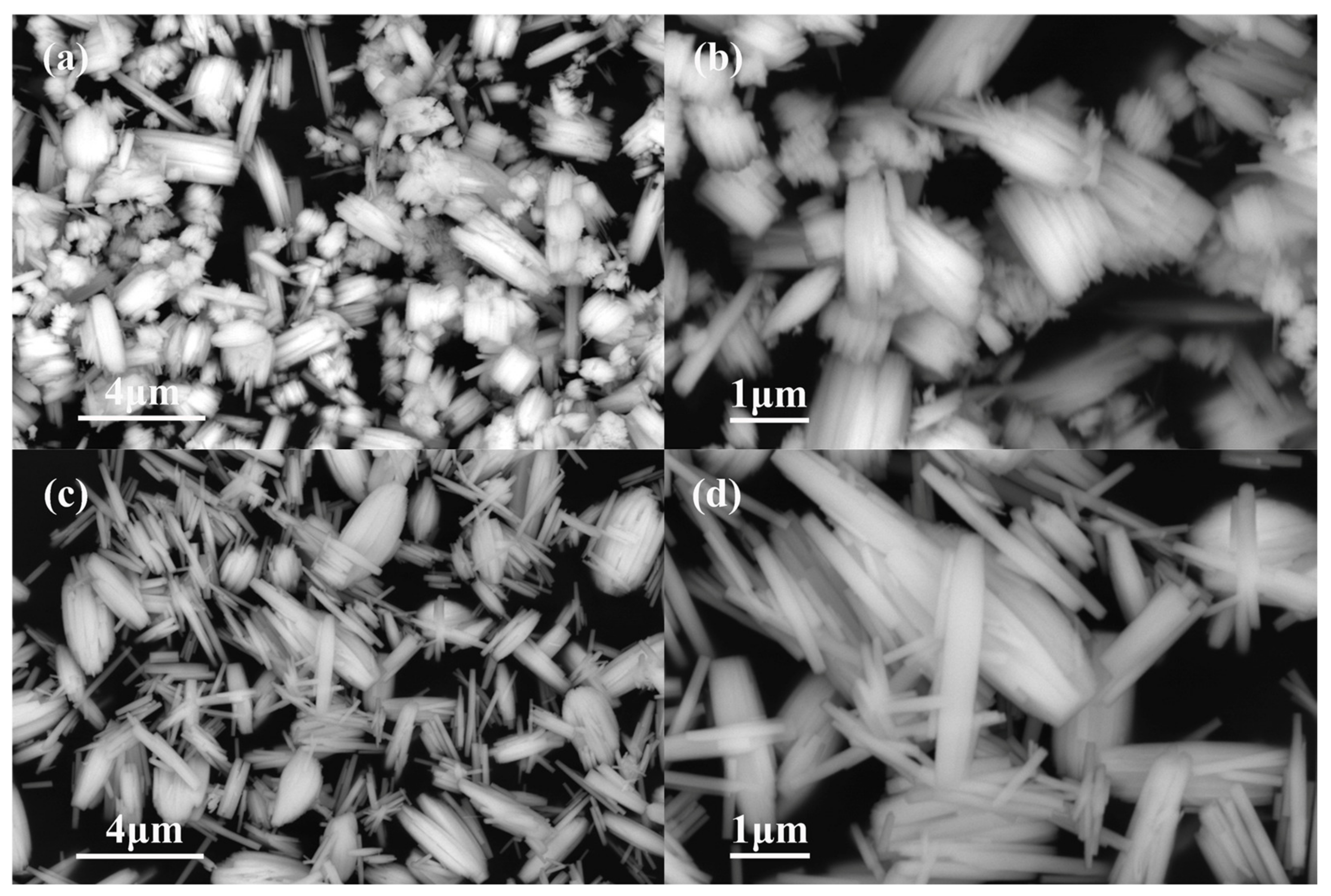 Nanomaterials 13 00776 g001