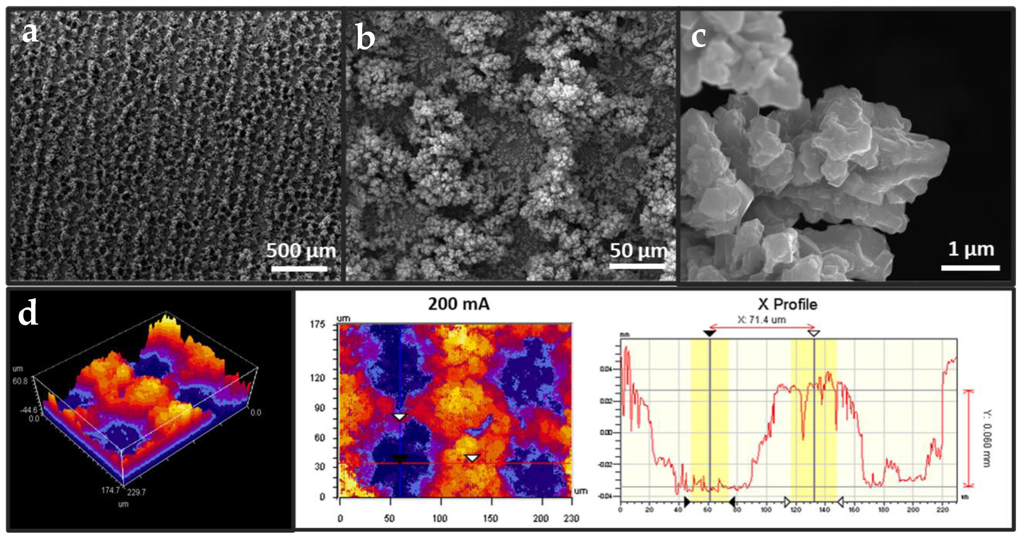 Nanomaterials 13 00778 g001