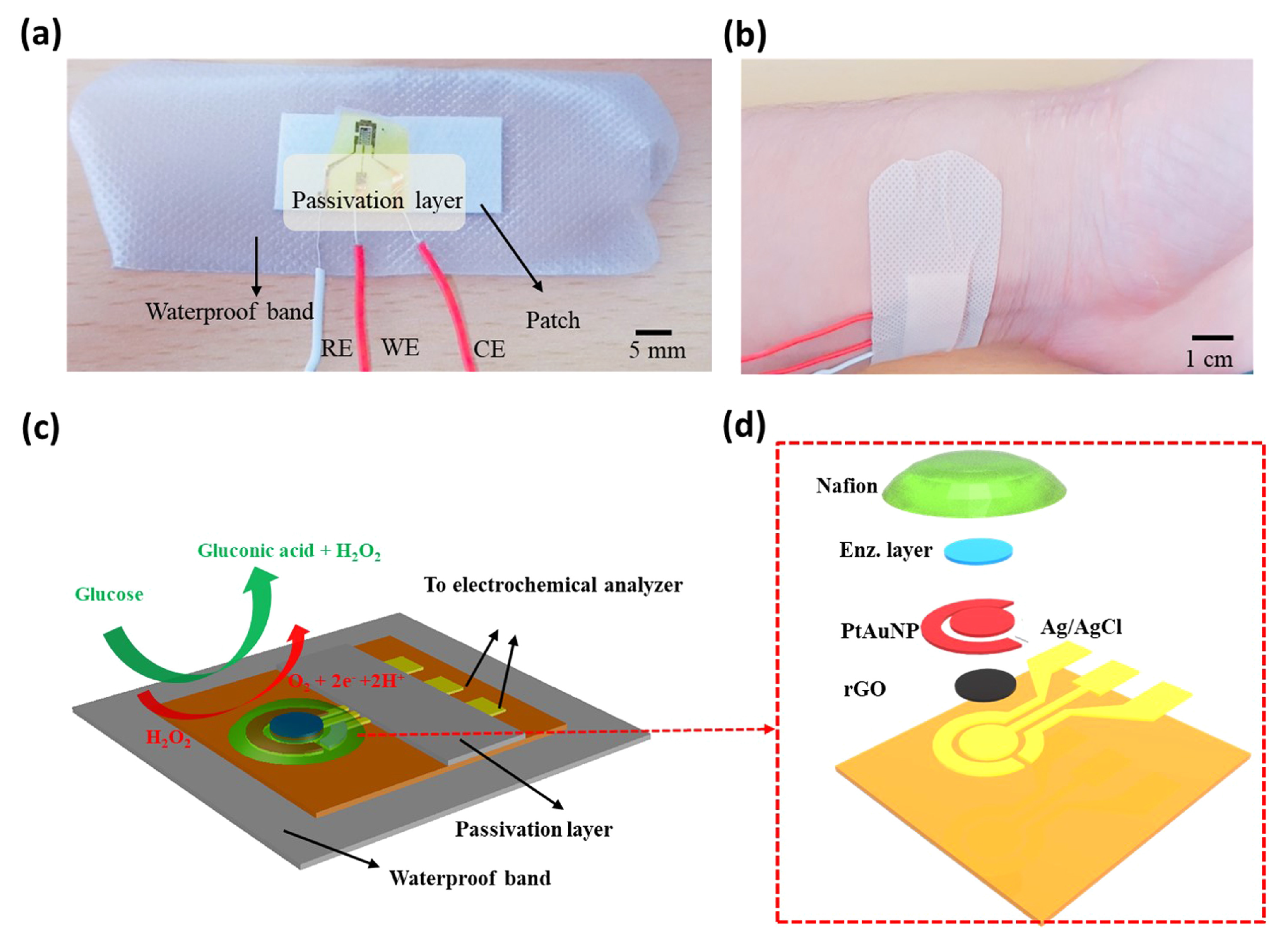 Nanomaterials 13 00780 g001