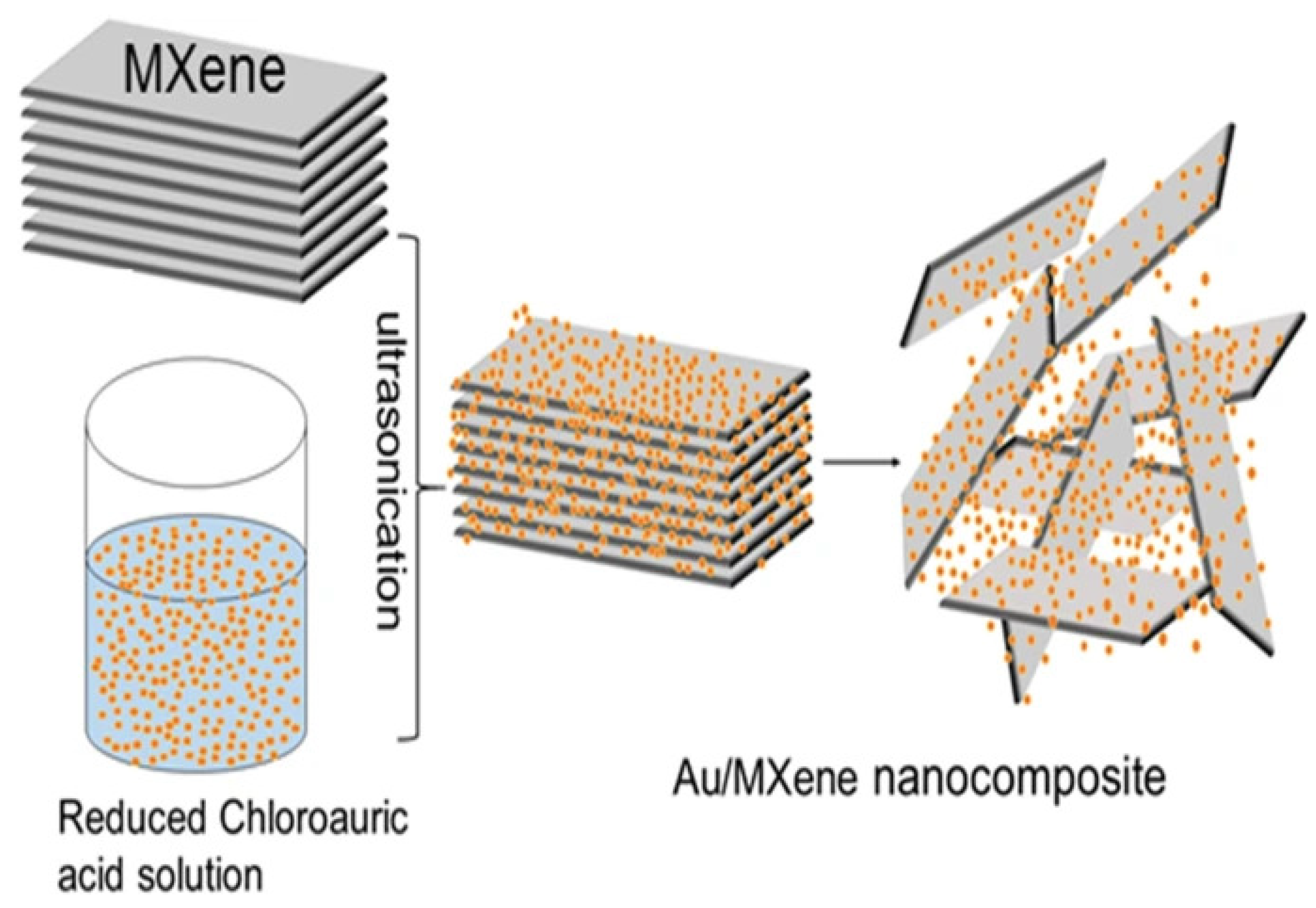 Nanomaterials 13 00780 g003