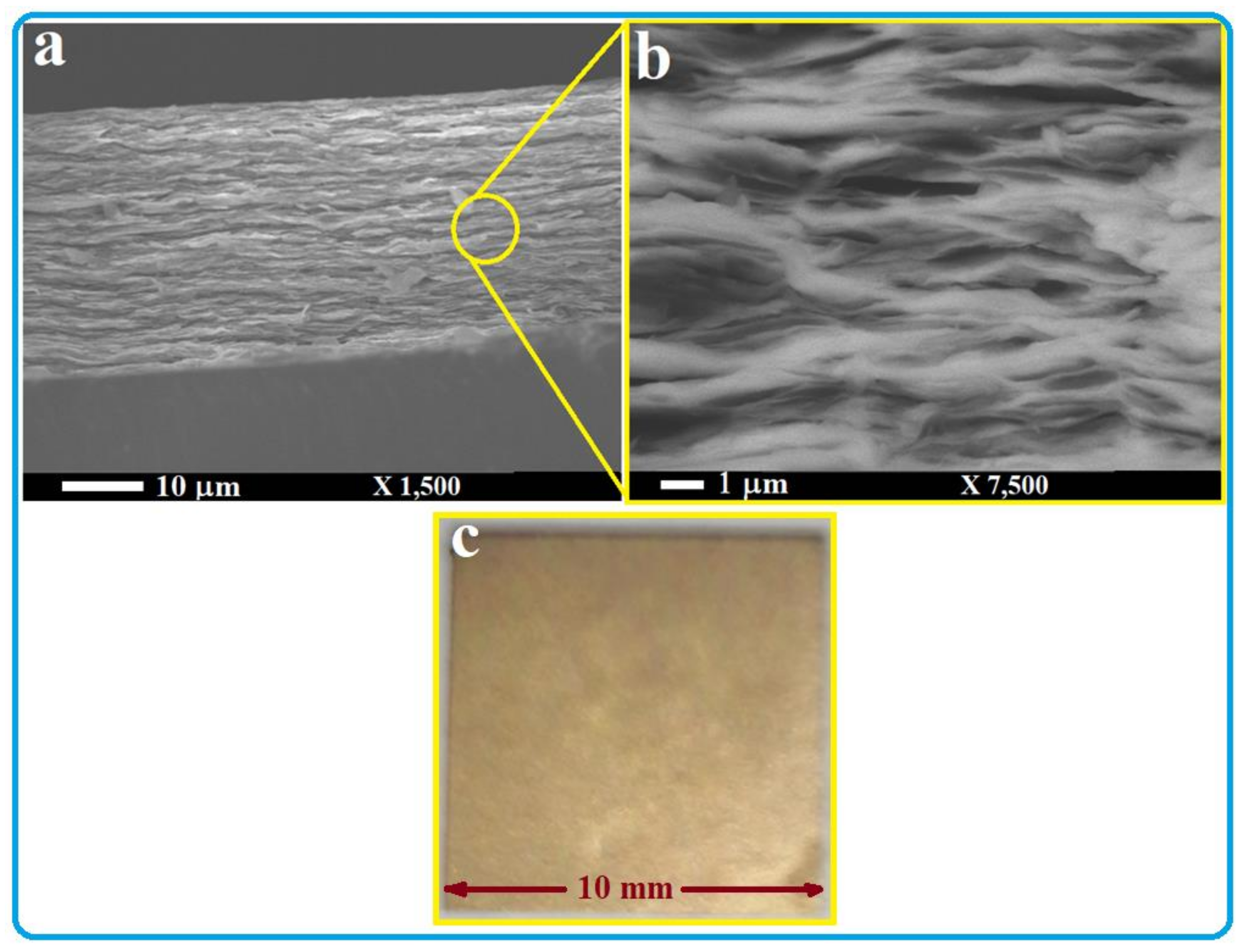 Nanomaterials 13 00781 g001