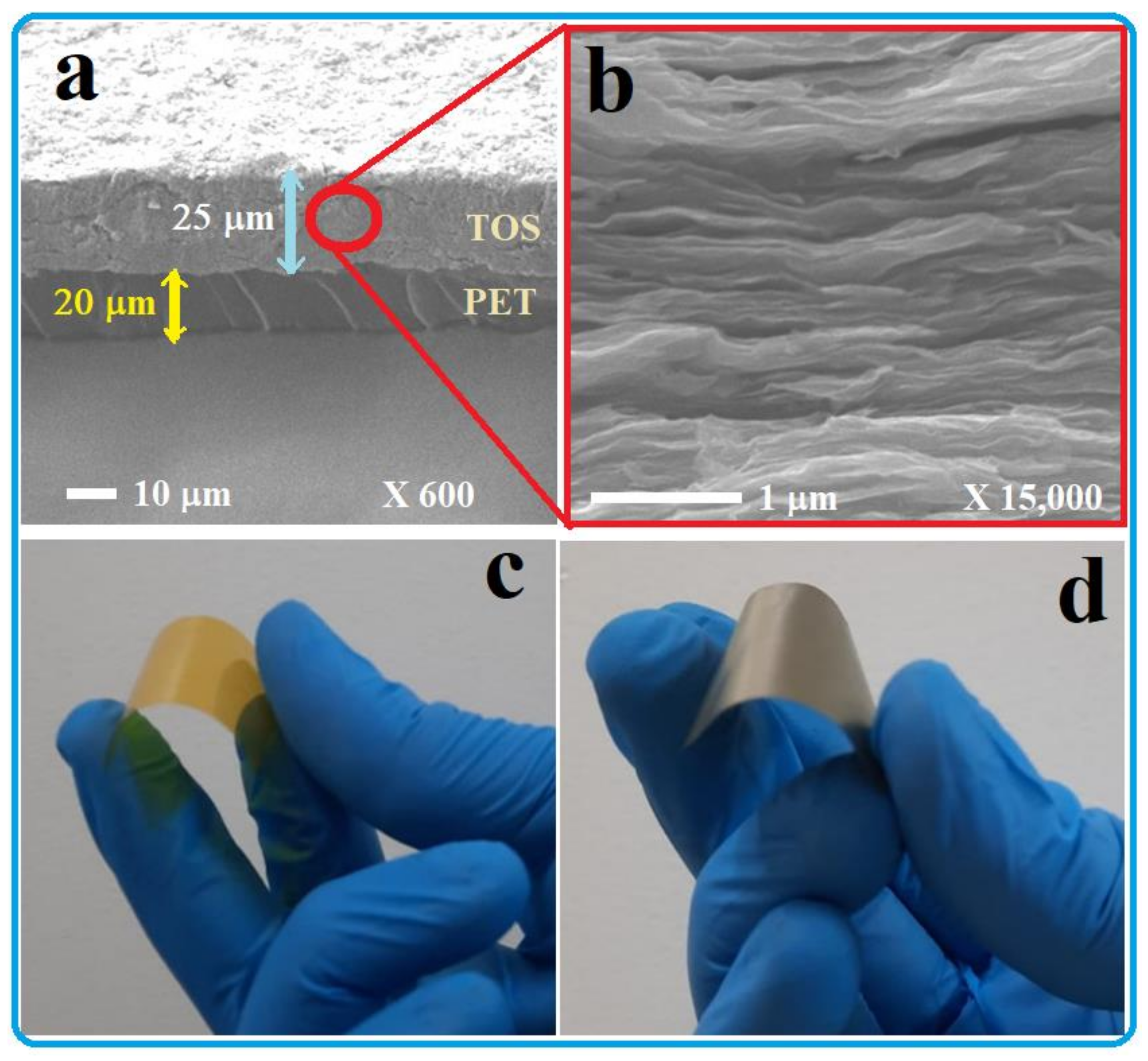 Nanomaterials 13 00781 g003