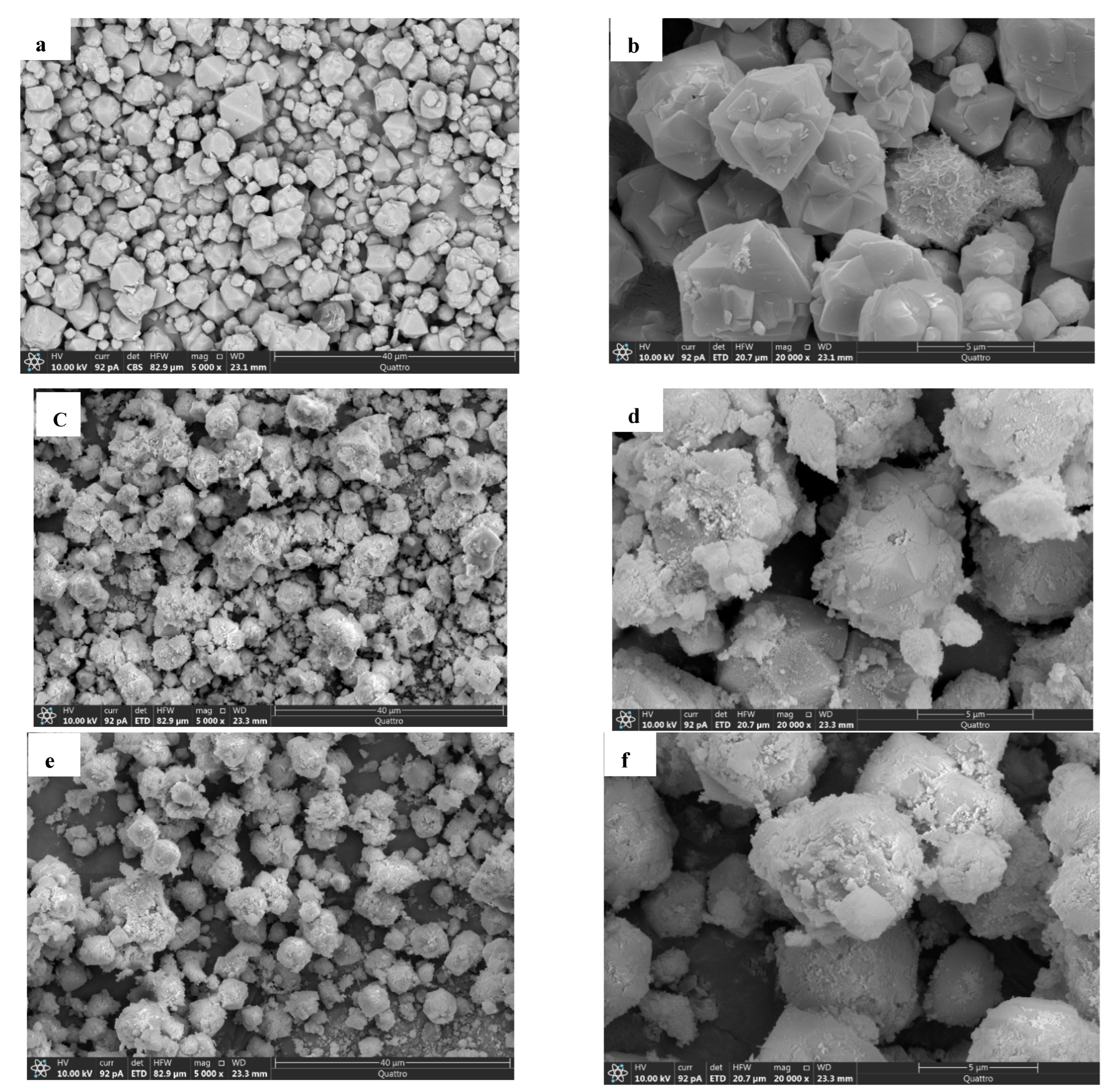 Nanomaterials 13 00785 g006a
